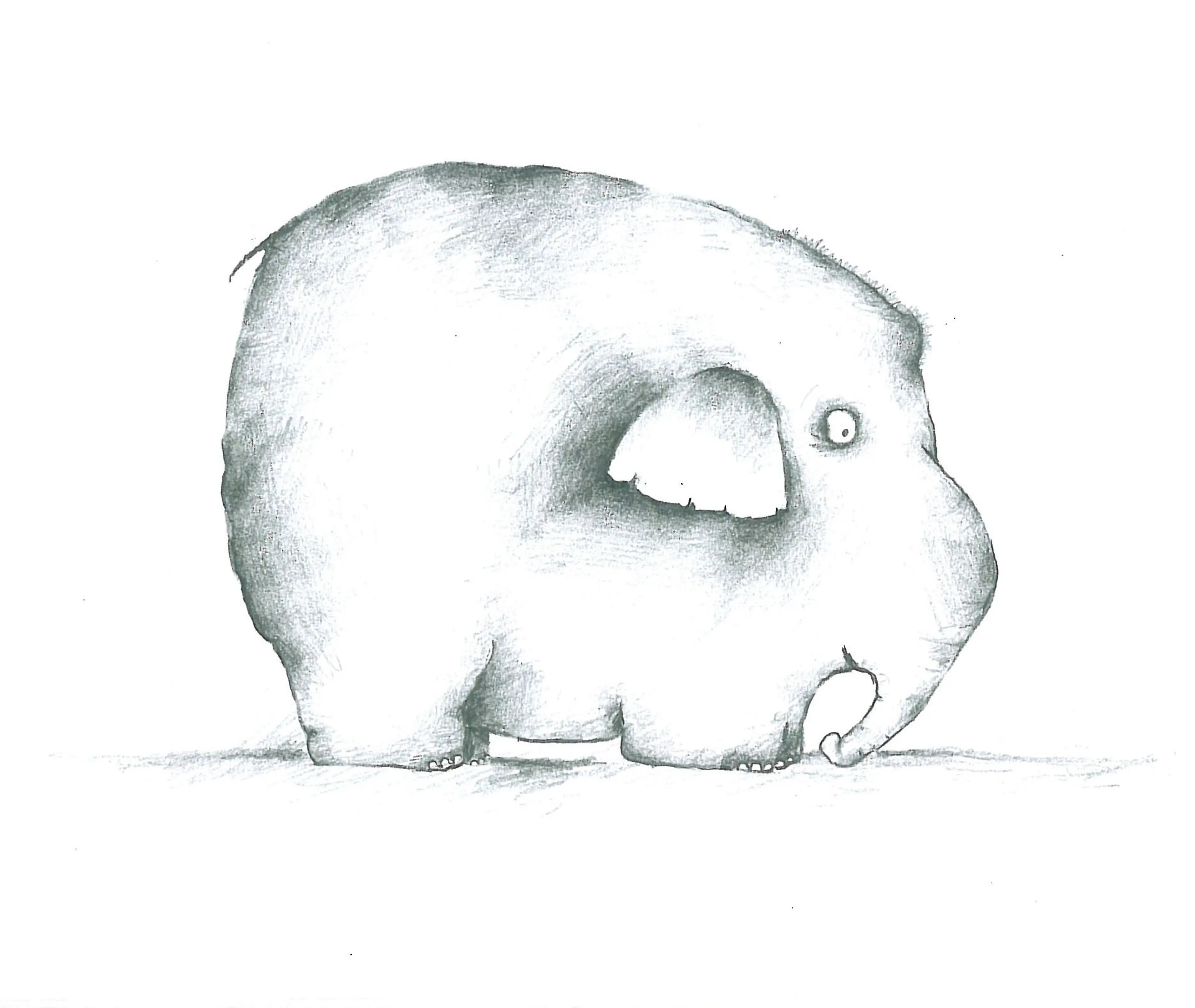 Animals (4)