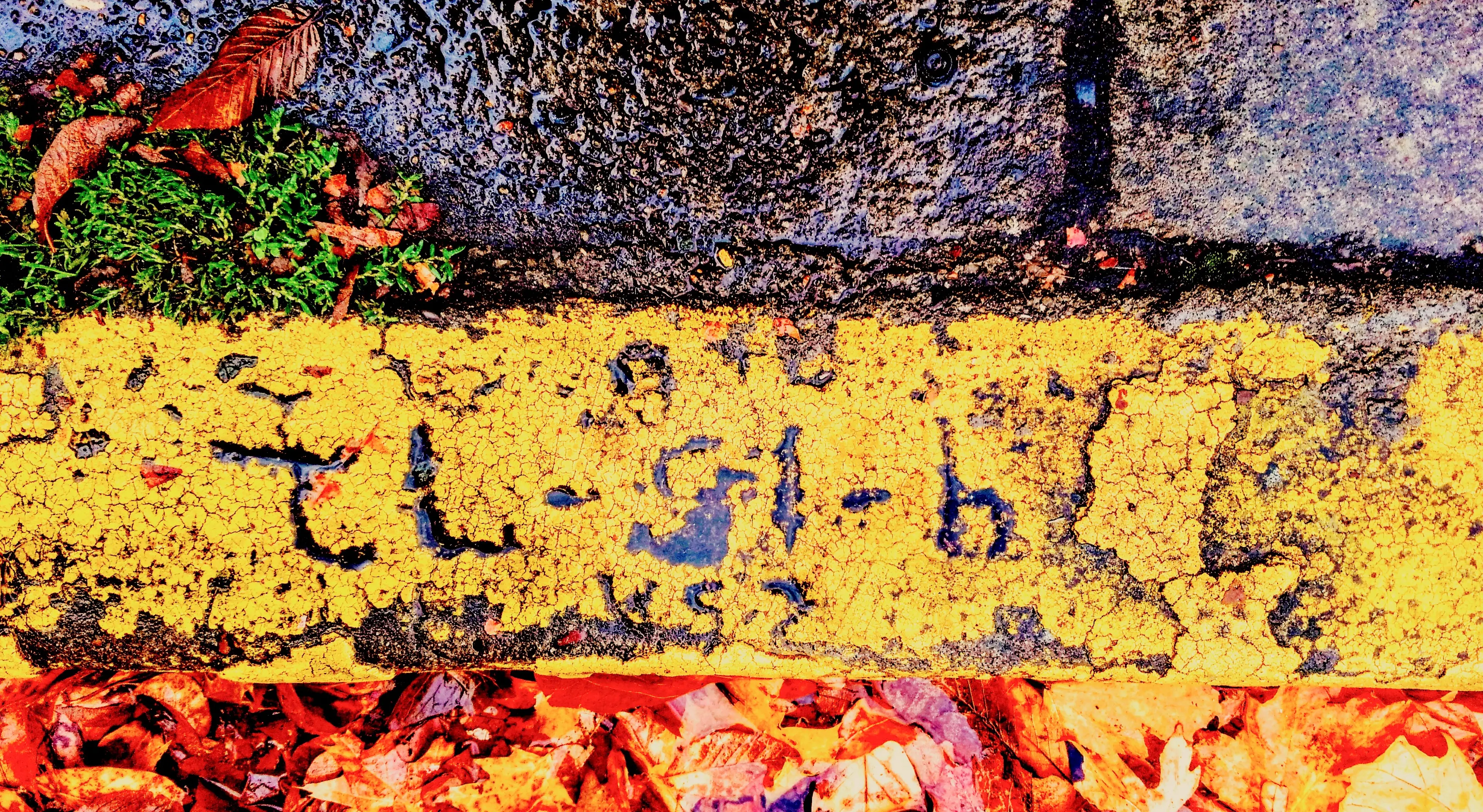 Parking — Photography — Leo Hall