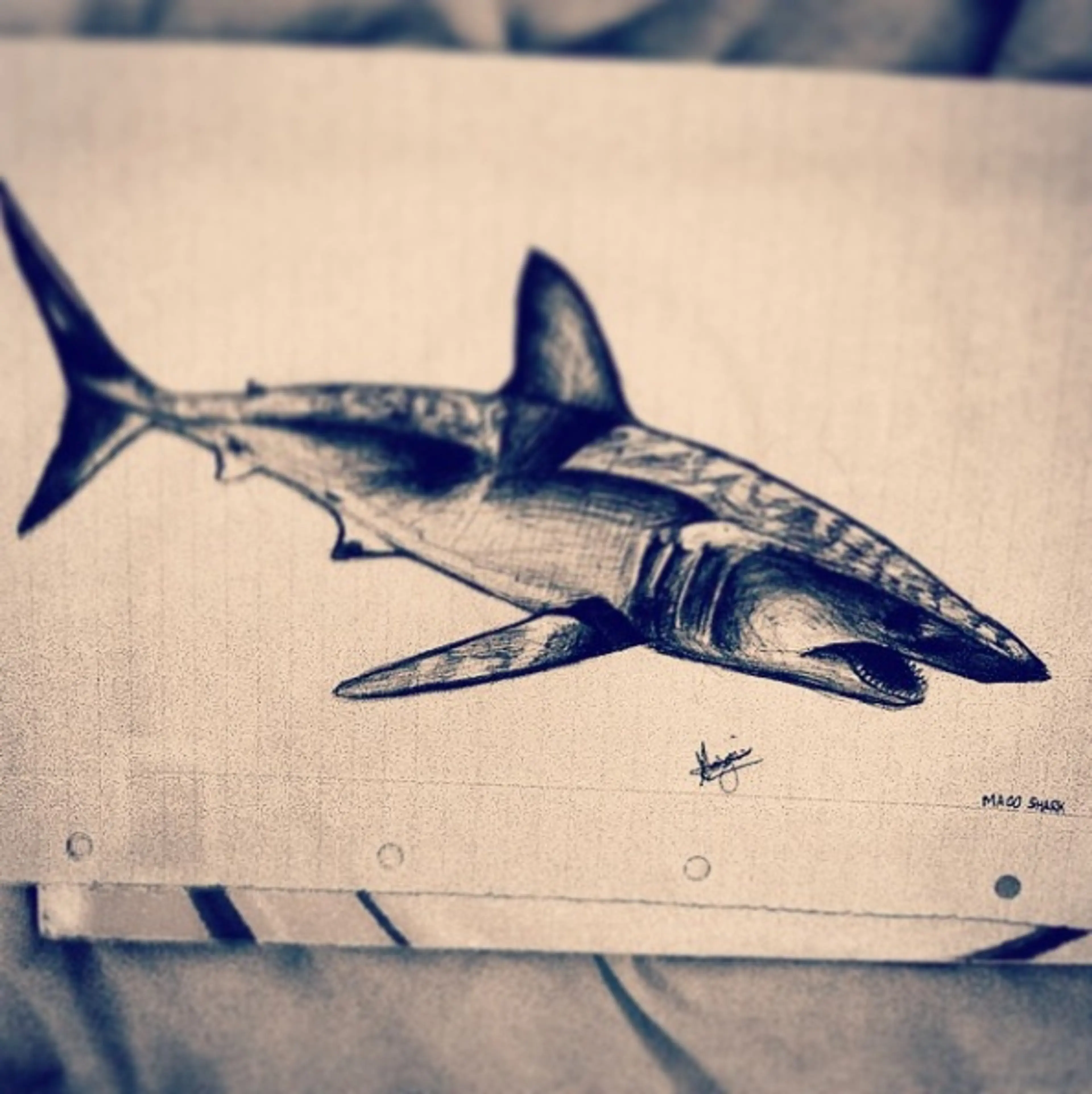 mako