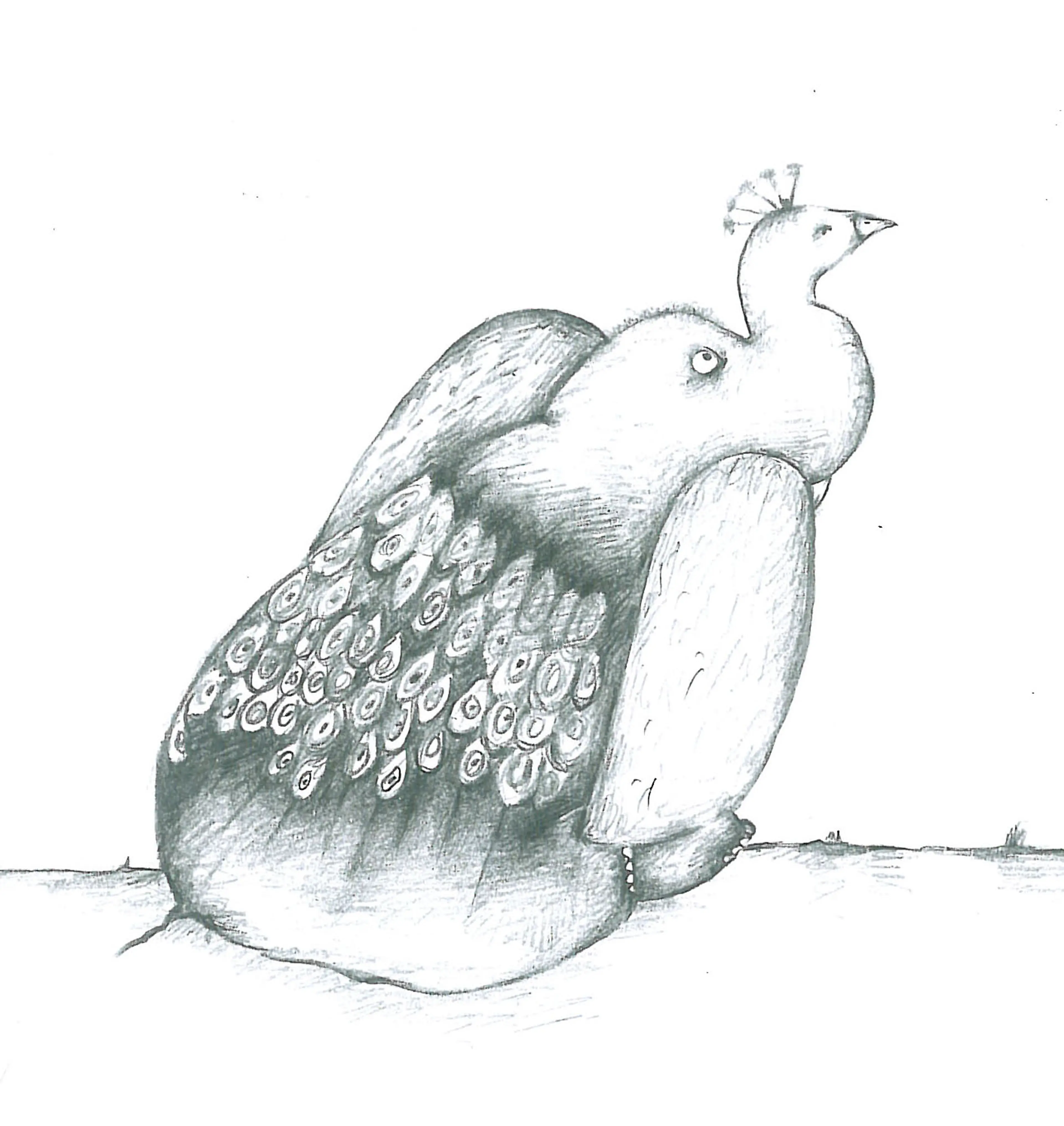 Animals (3)