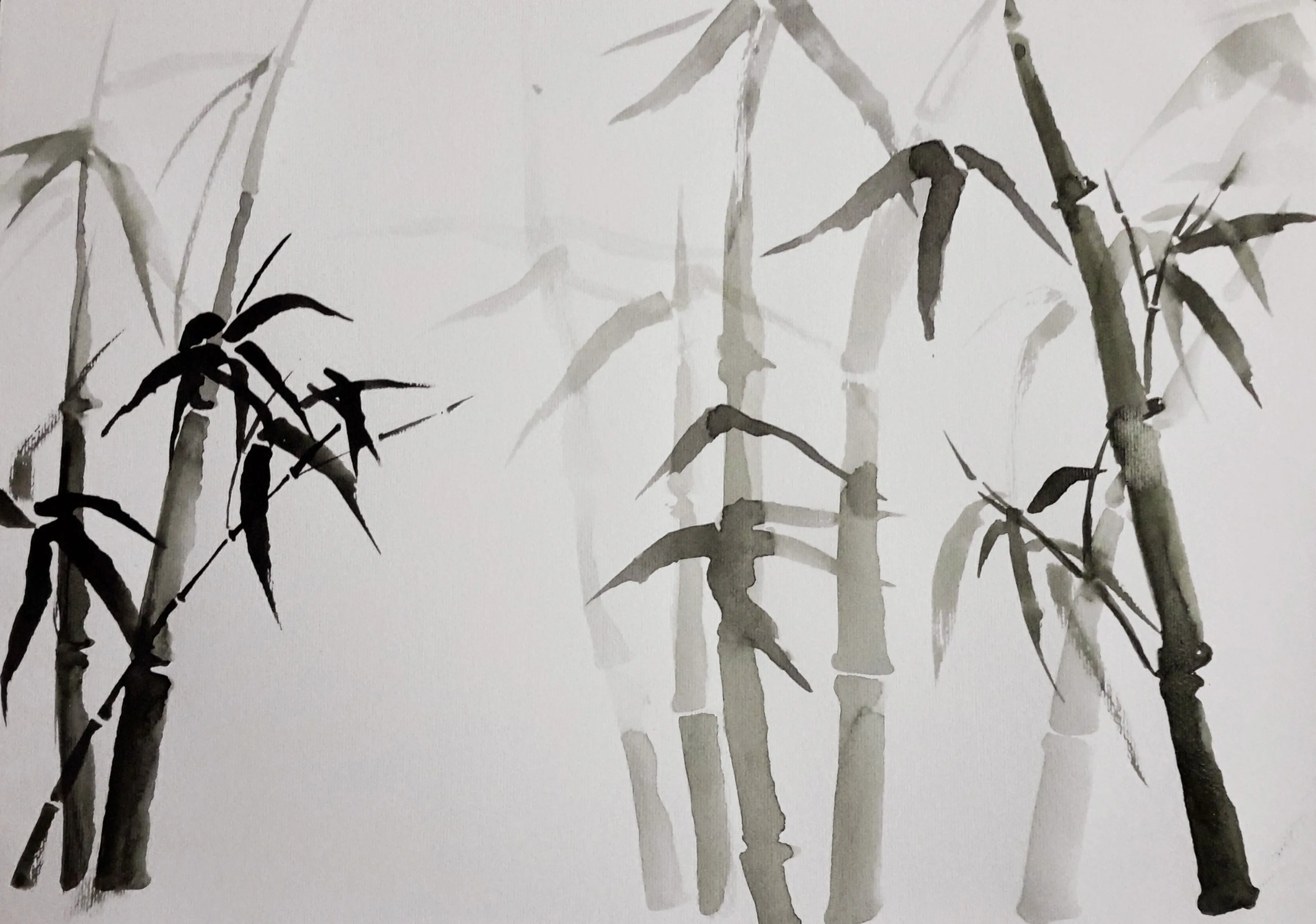 Bamboo
