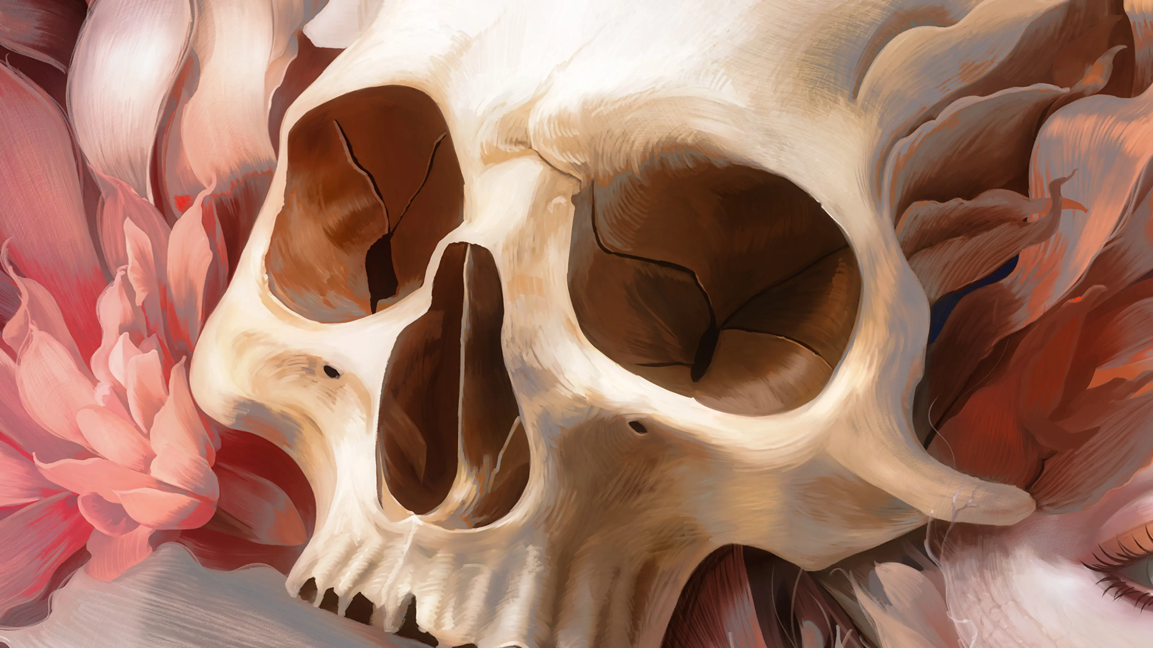detail01 — Ilustración — Alfonso Elola