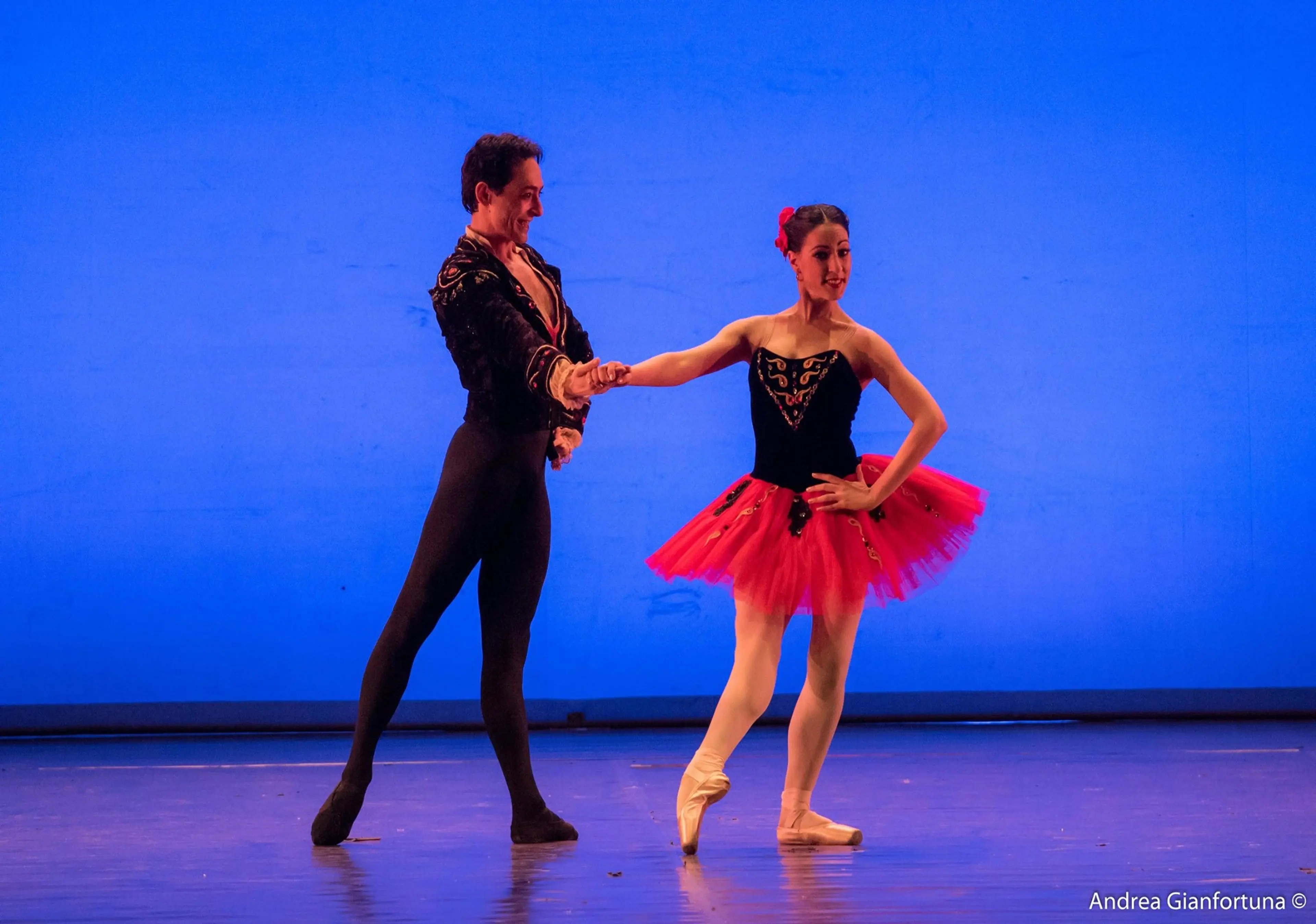 Don Quixote - Ballet Gala 2016