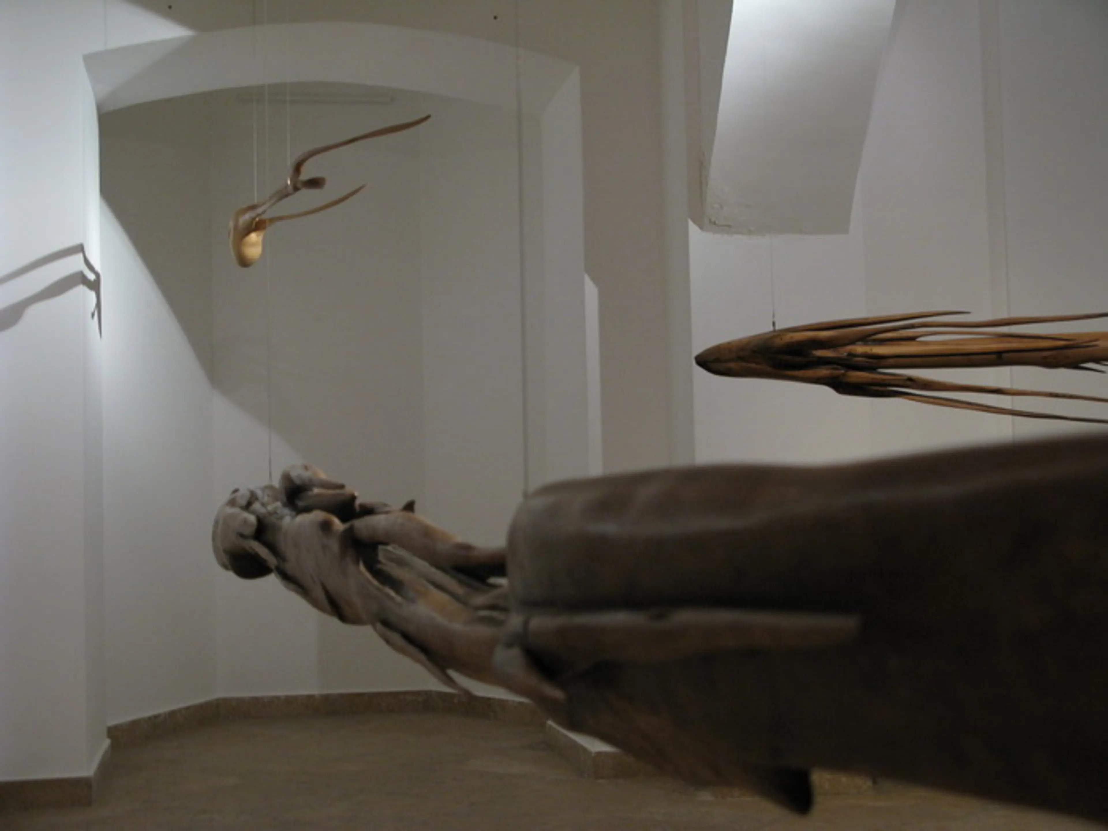''Time travellers", wood