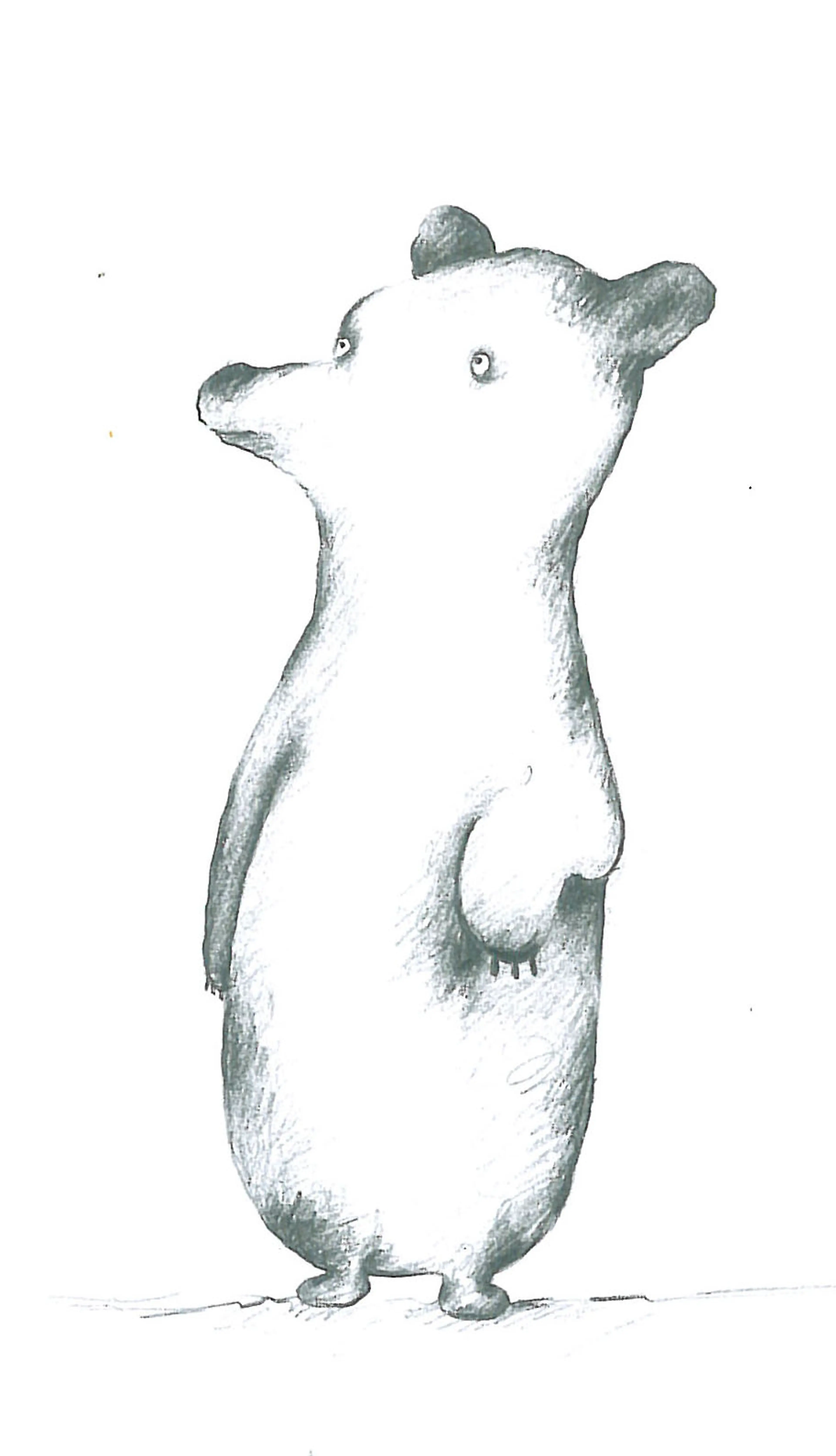 Animals (17)