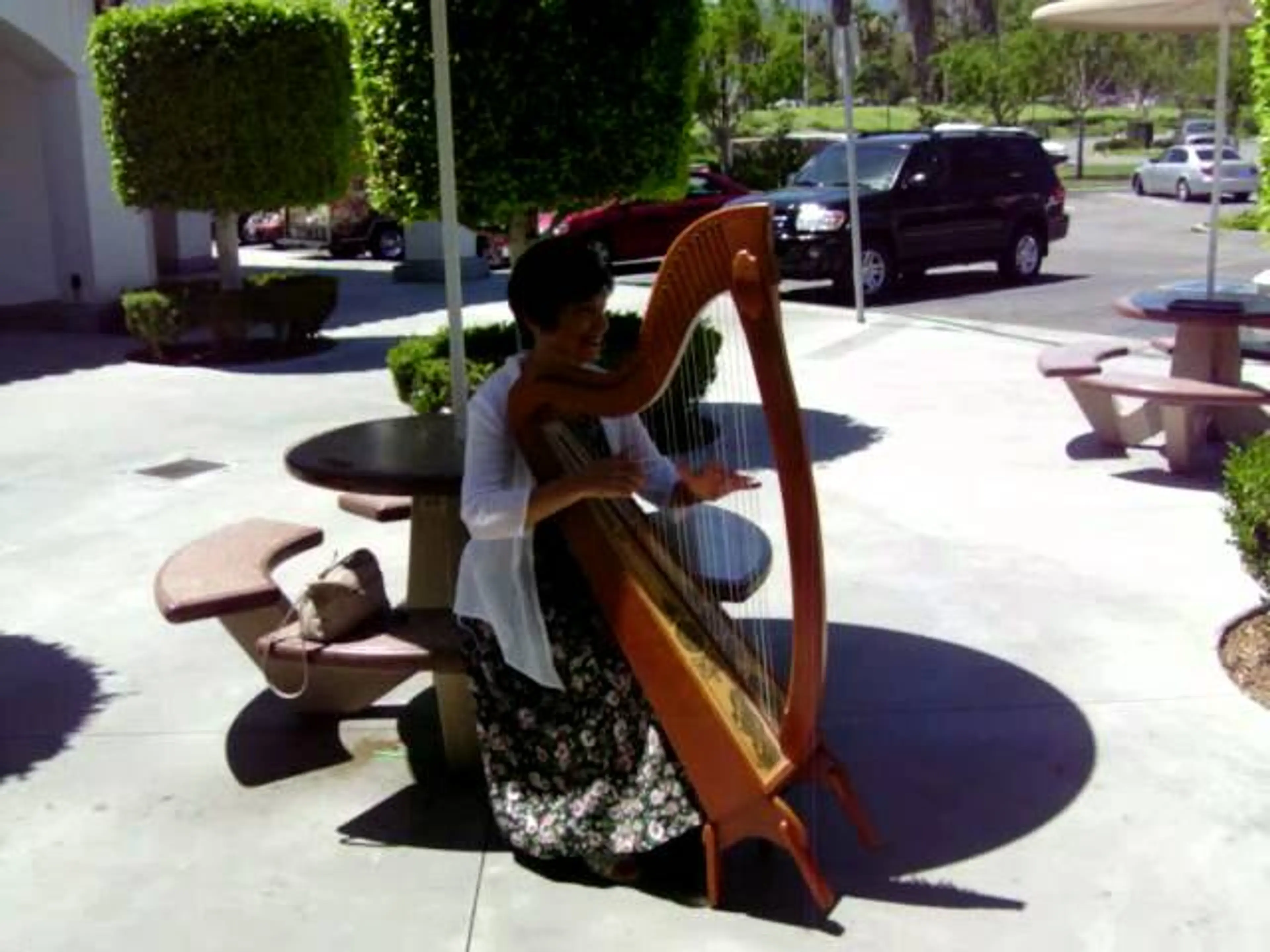 Planxty Merlin - a random act of harping! June 24, 2012