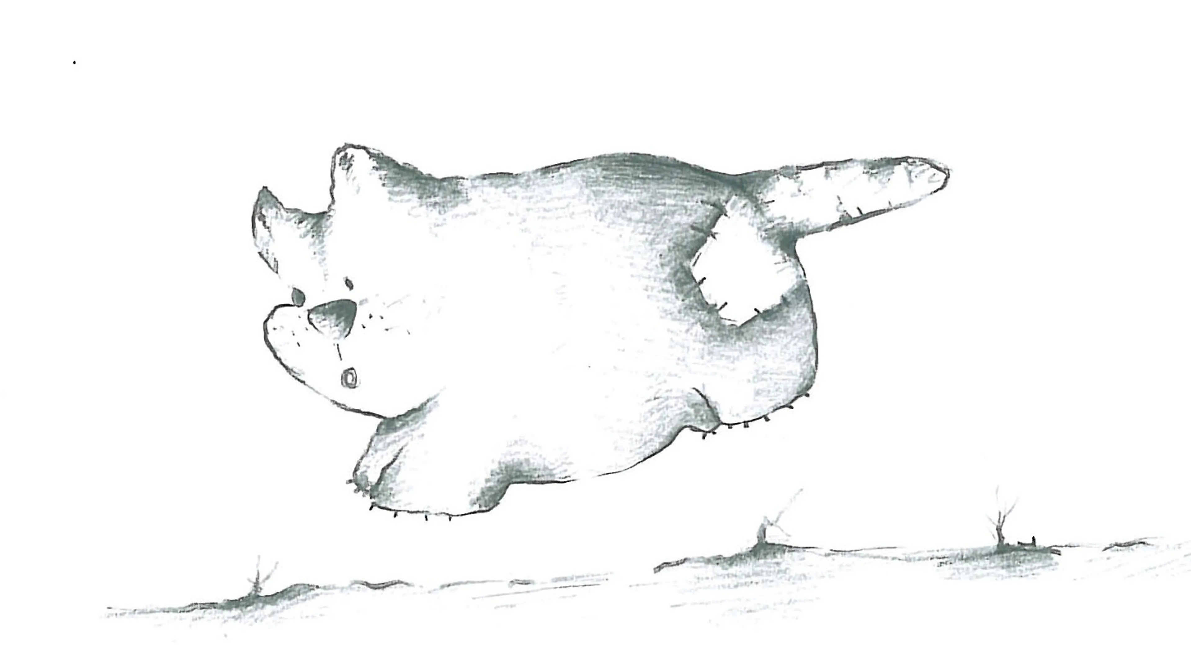 Animals (19)