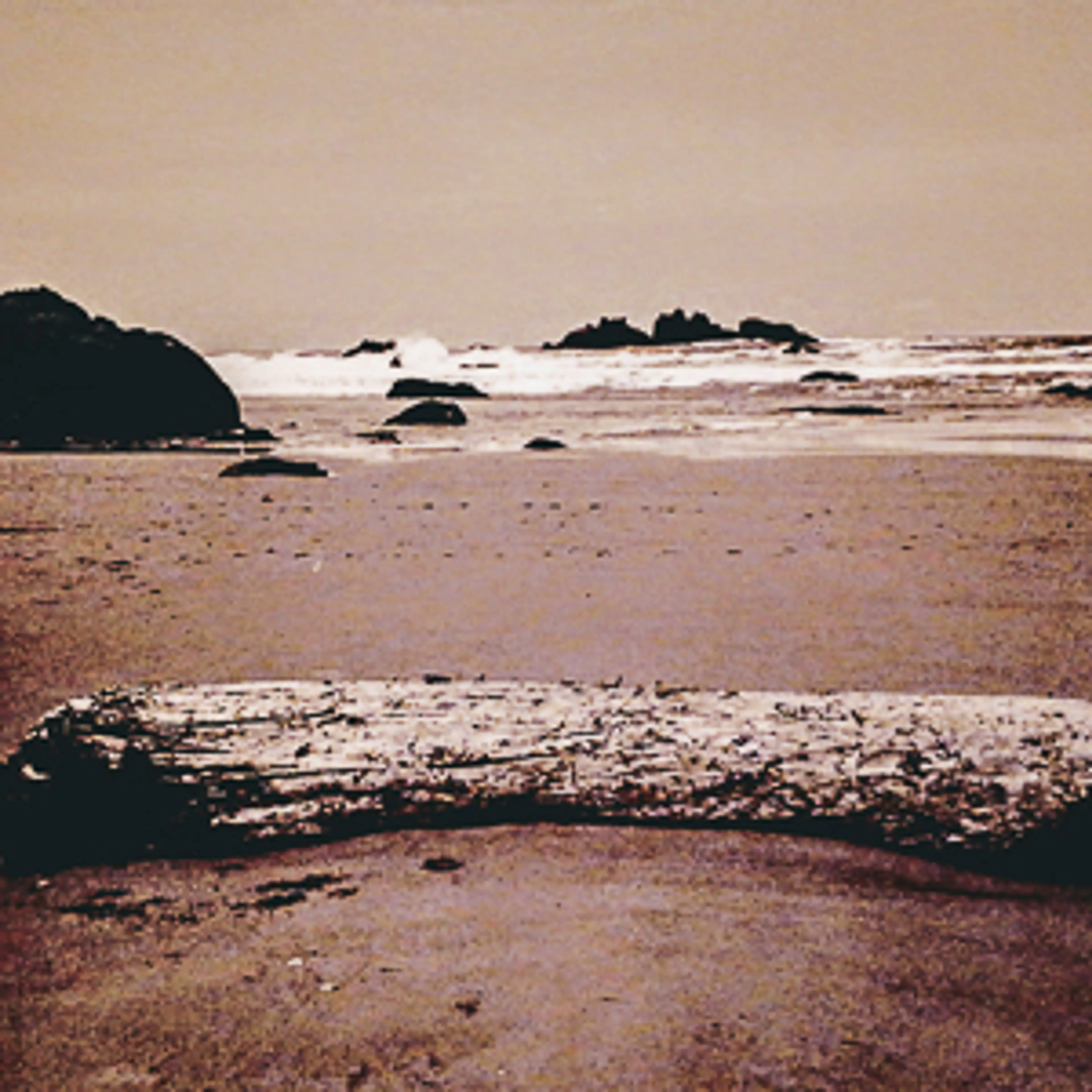 Dog-Bone Oregon Coast
