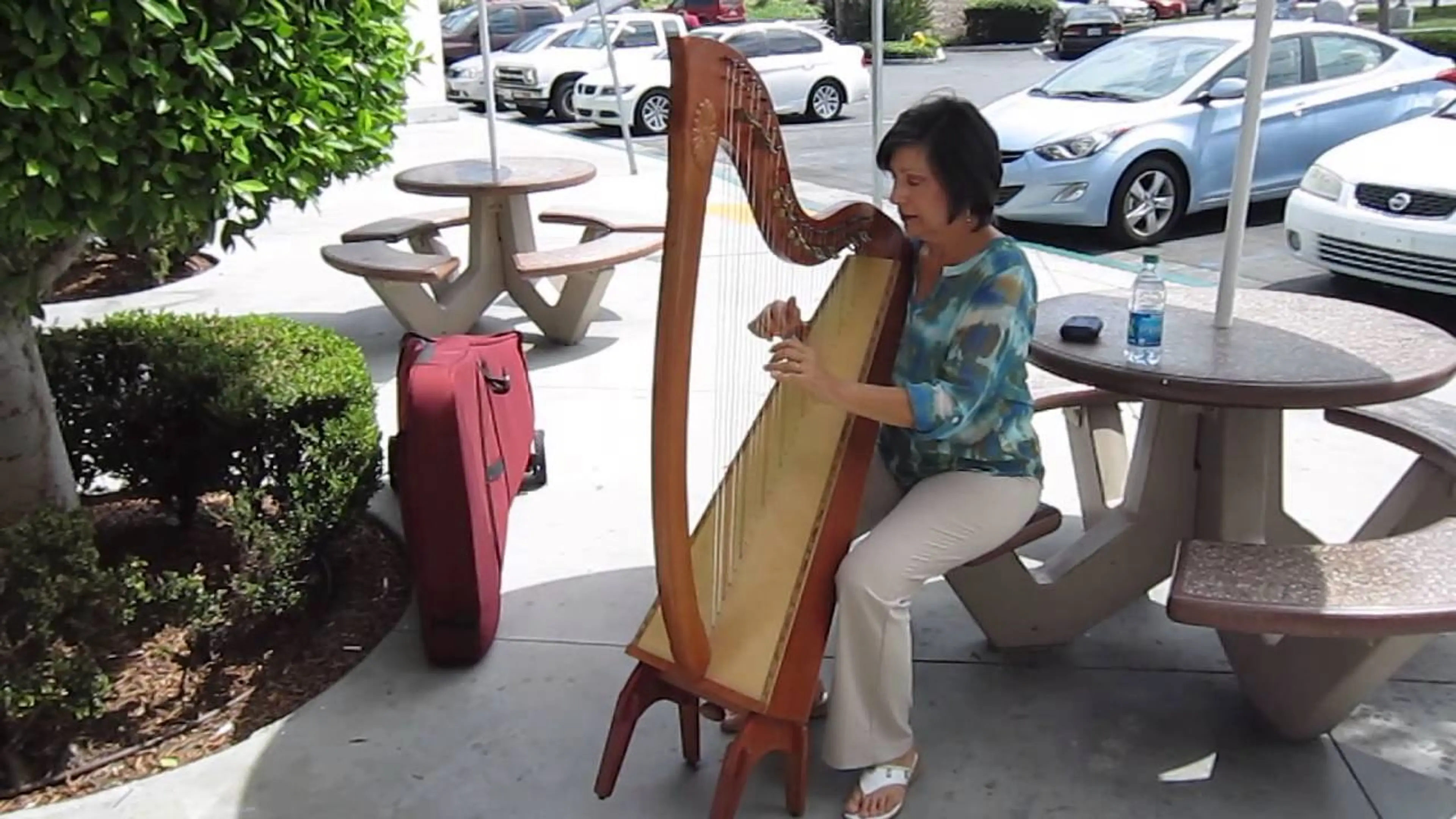 Random Acts of Harping 2014