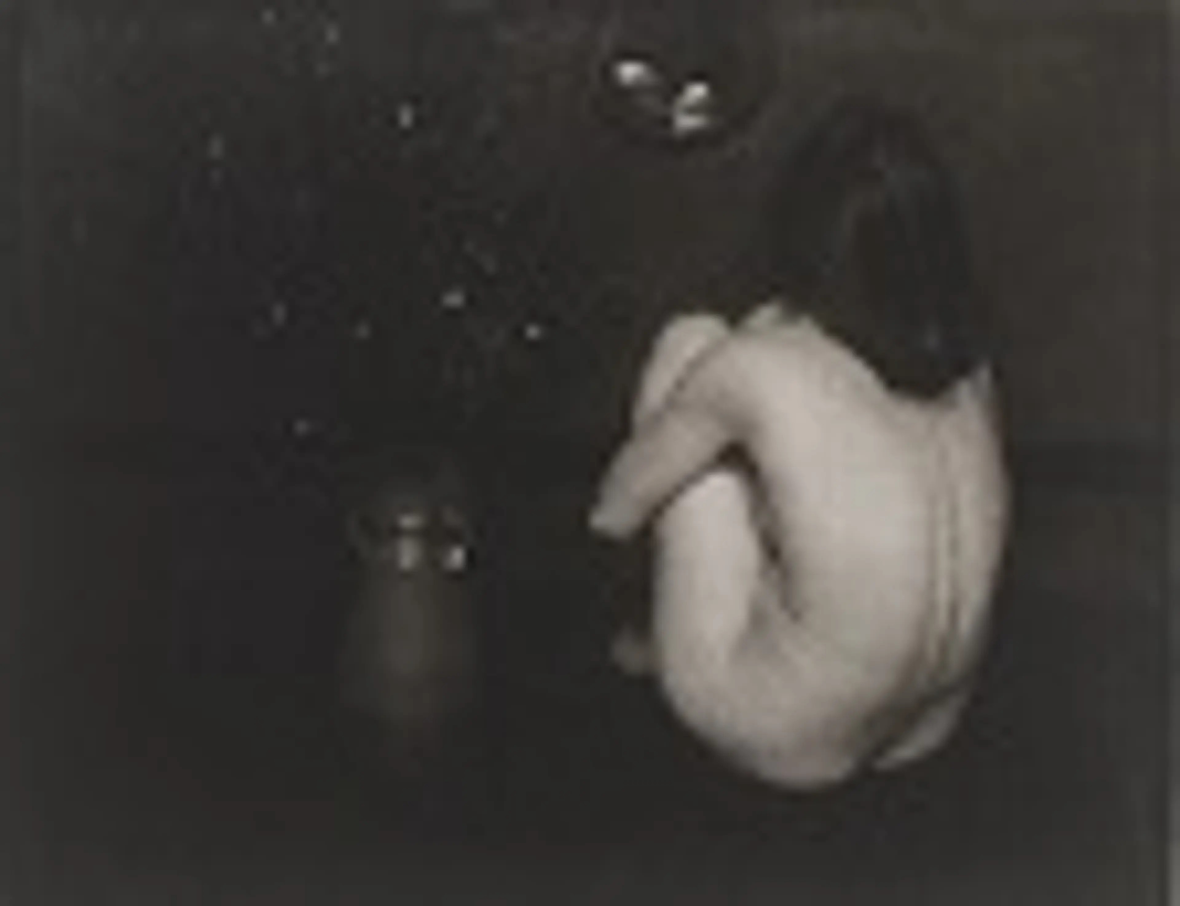 A History Of Photography: The Body