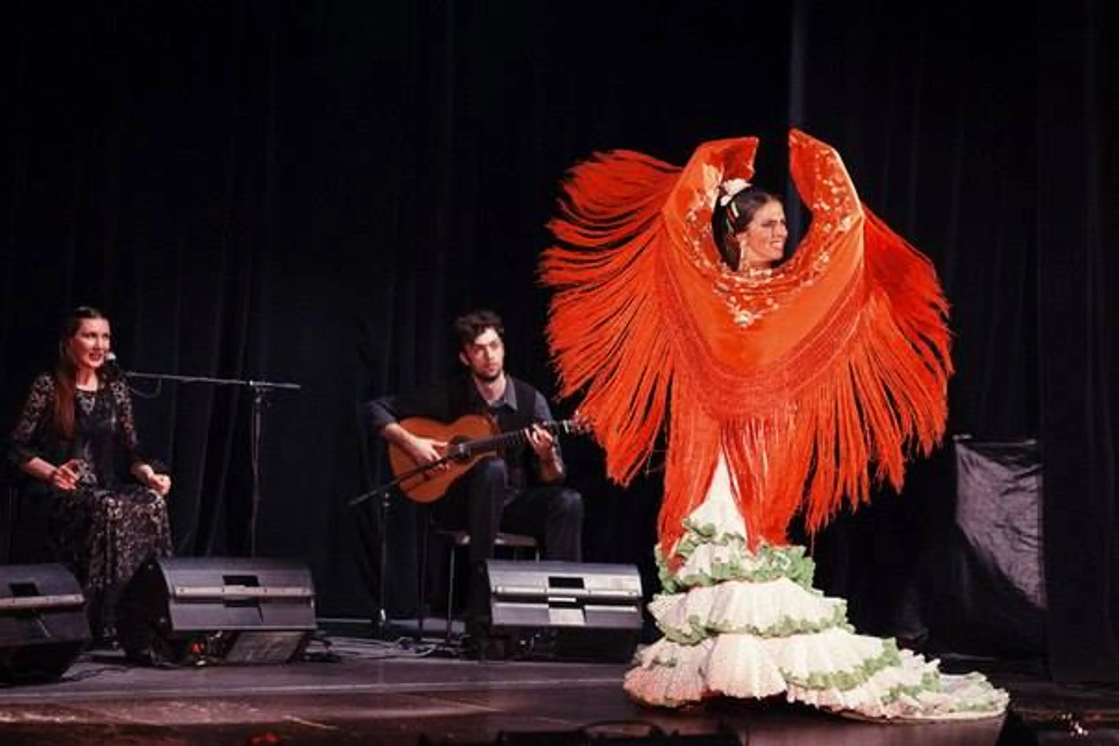 Flamenco 06