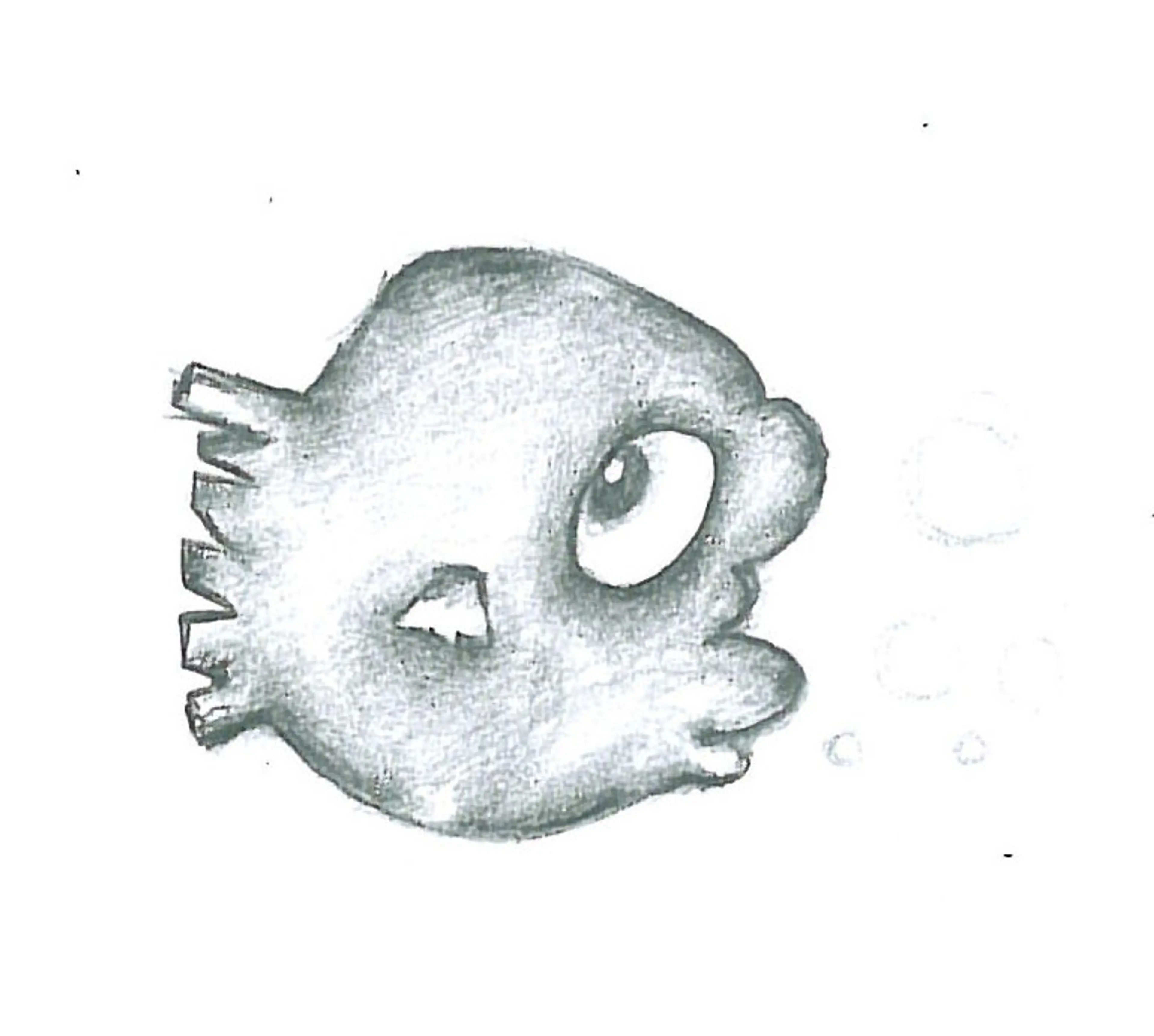 Animals (21)
