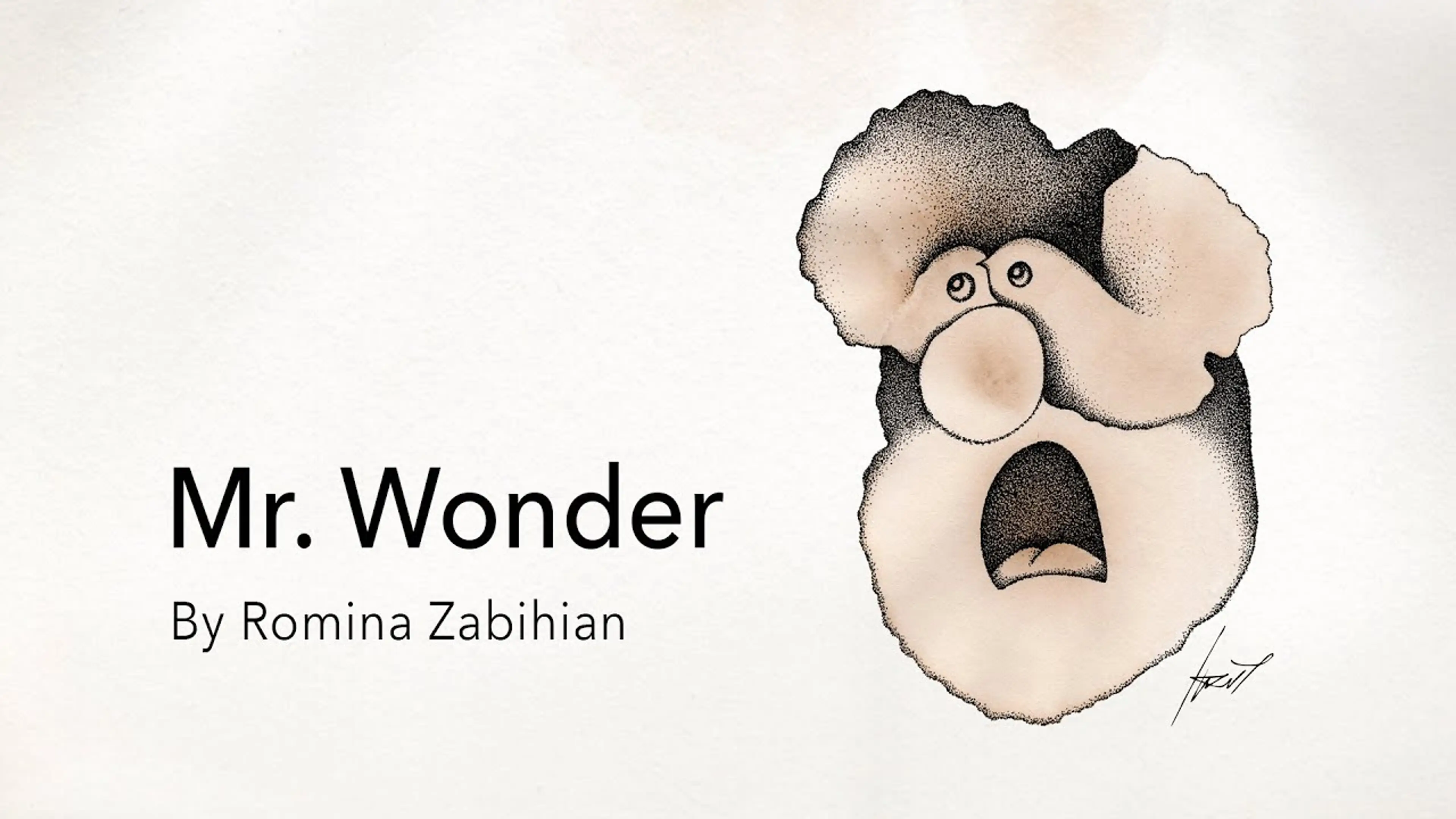 Mr. Wonder