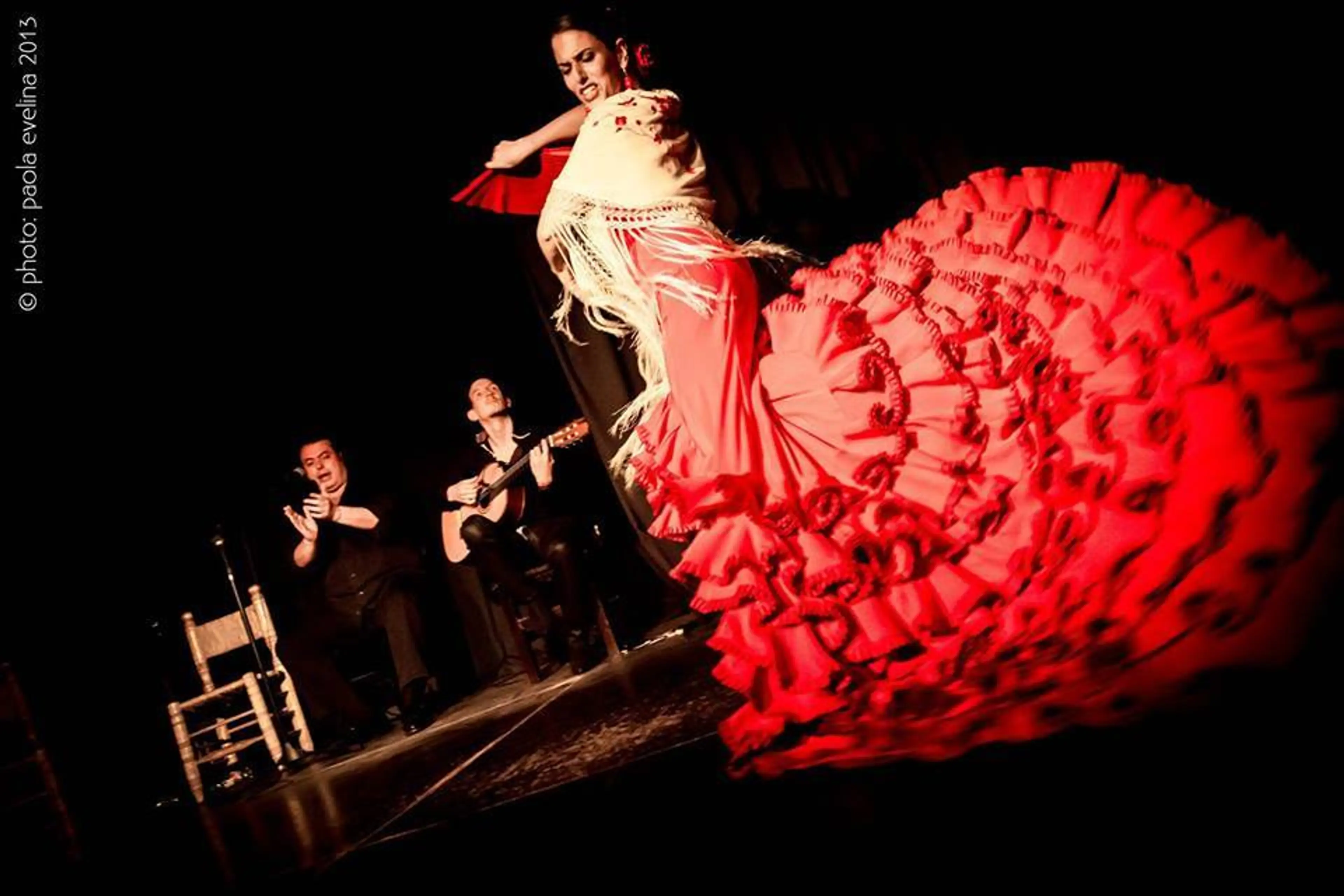 Flamenco 05
