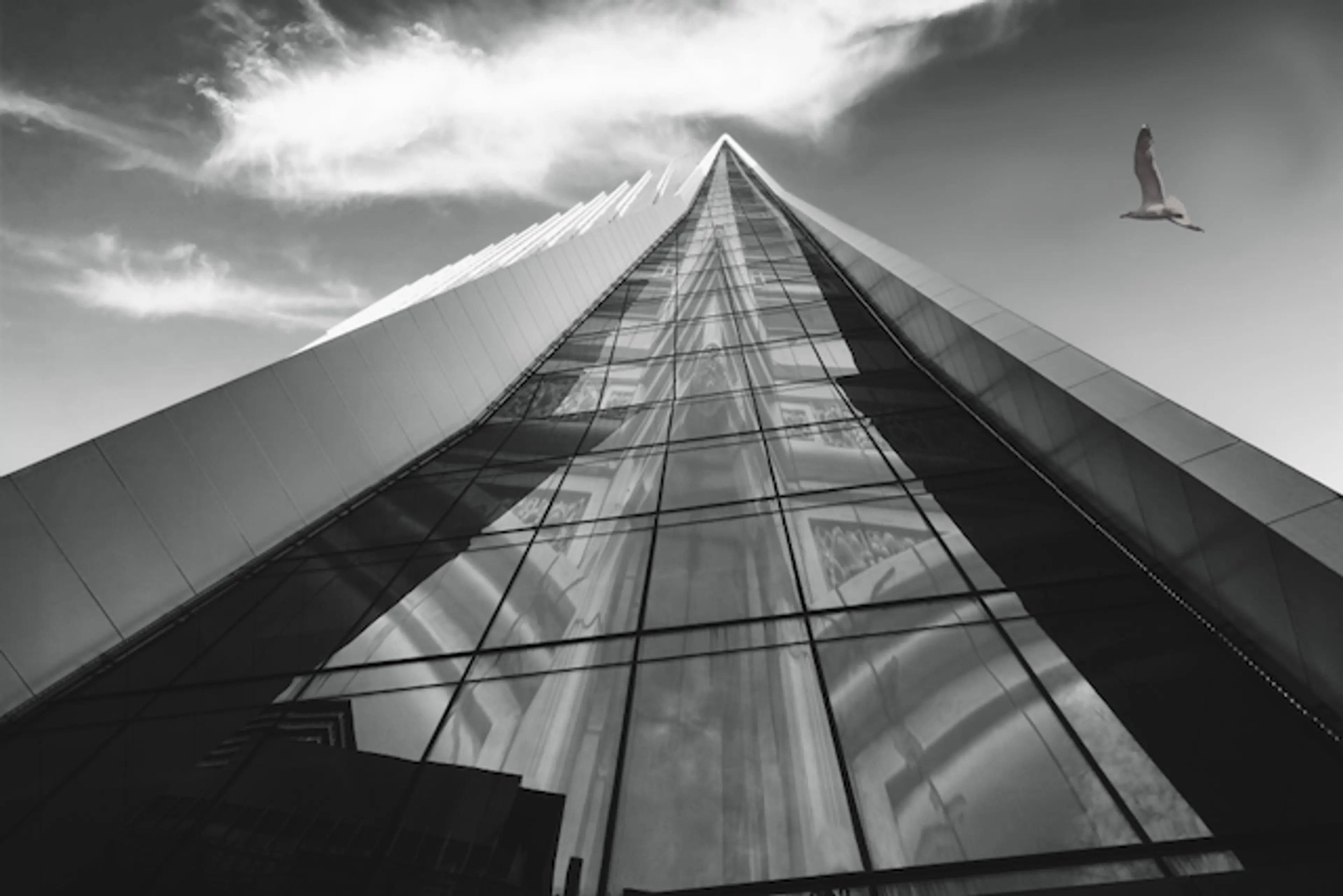 Upwards — Glass, Sky and Flight — Photography — Kian Charles Gray