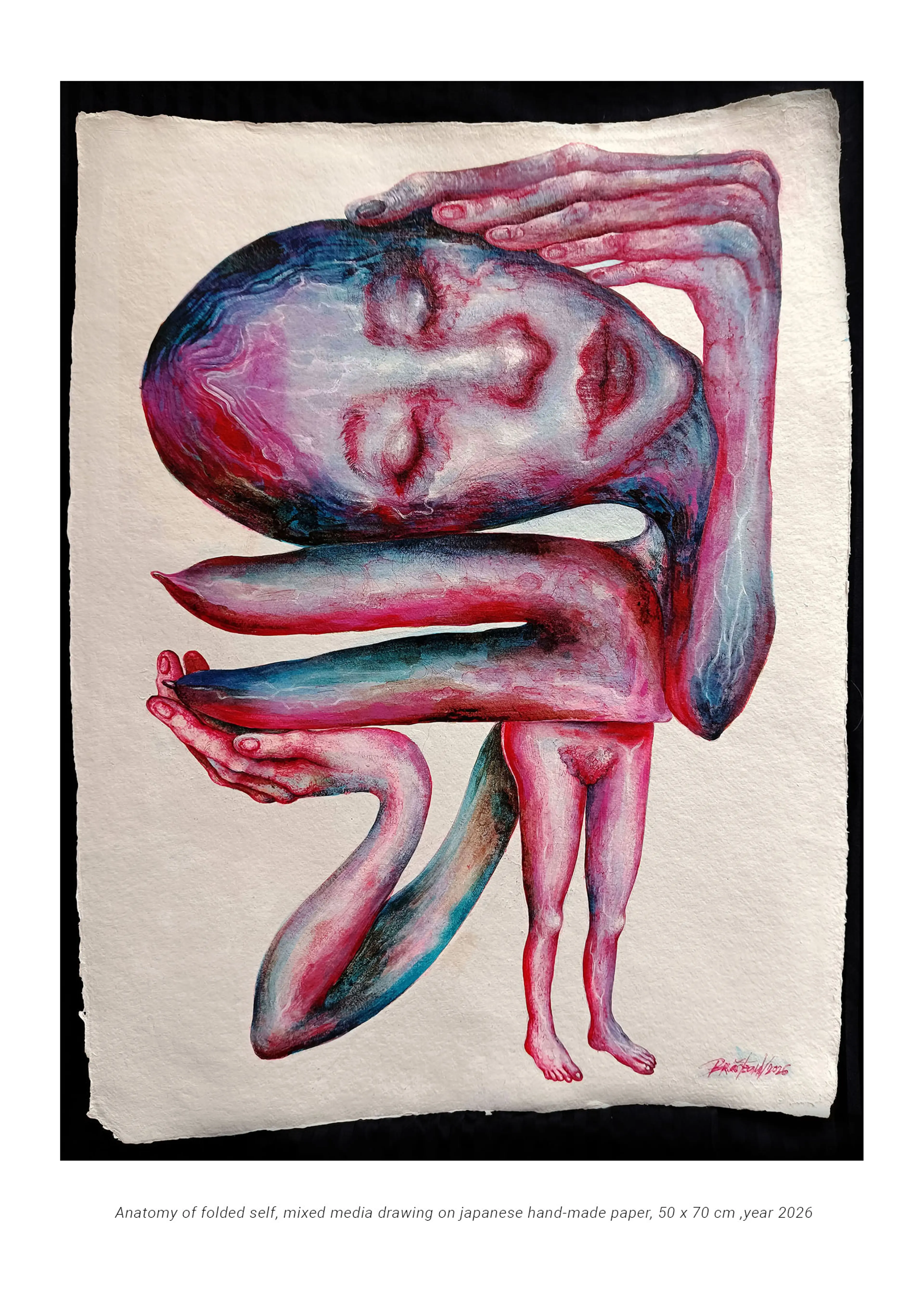 ANATOMY OF FOLDED SELF /  Mixed media drawings on paper