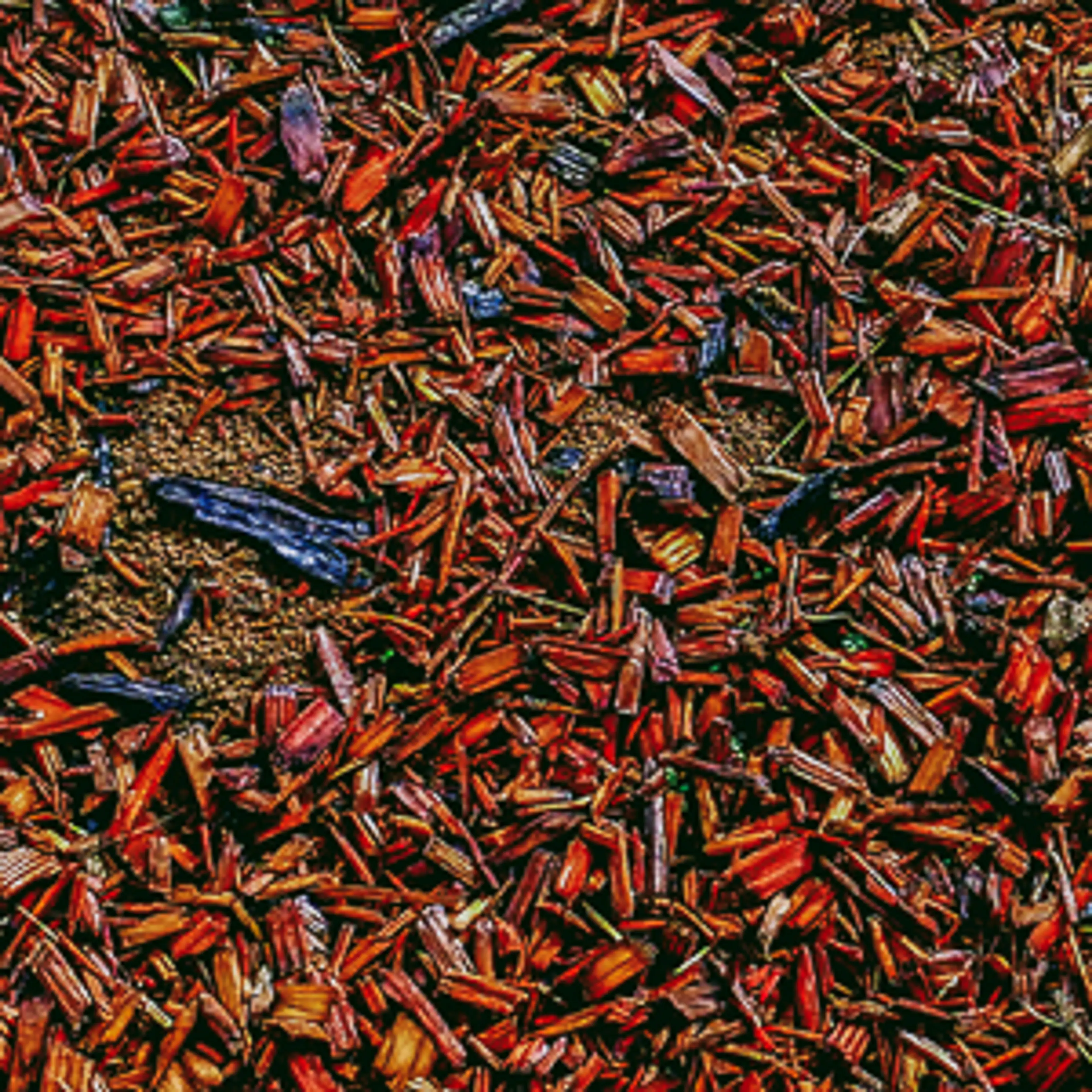 Autumn Falls