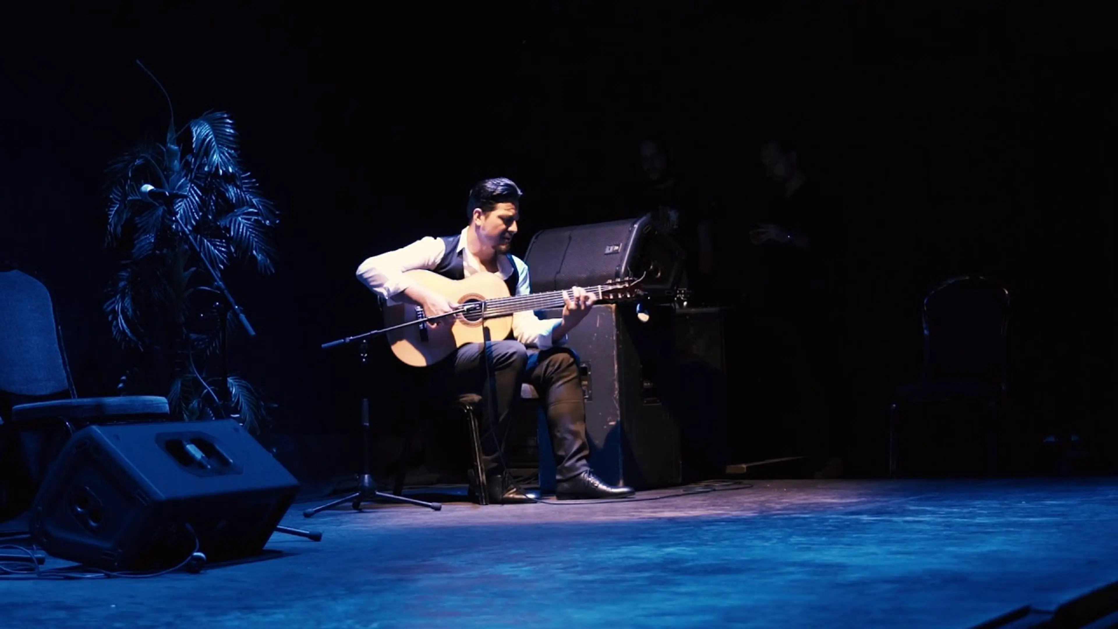 Tati playing guitar at Flamenco Barcelona City Hall