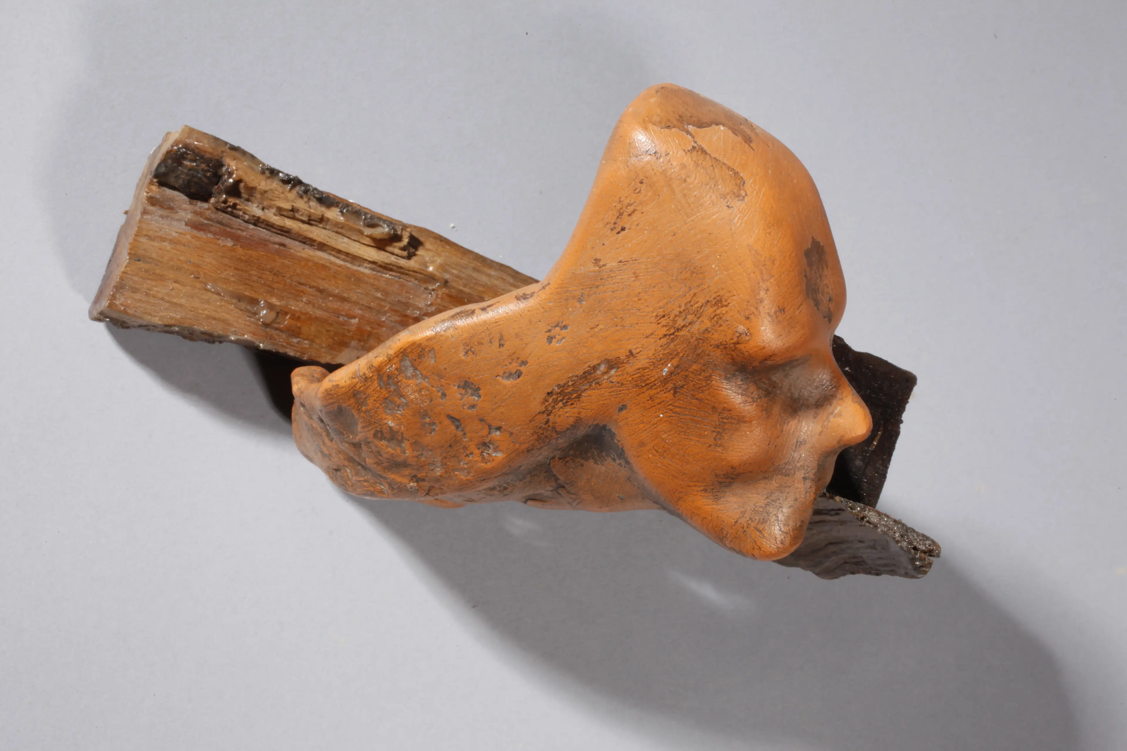 "Raw violence", wood and patinated terracotta
