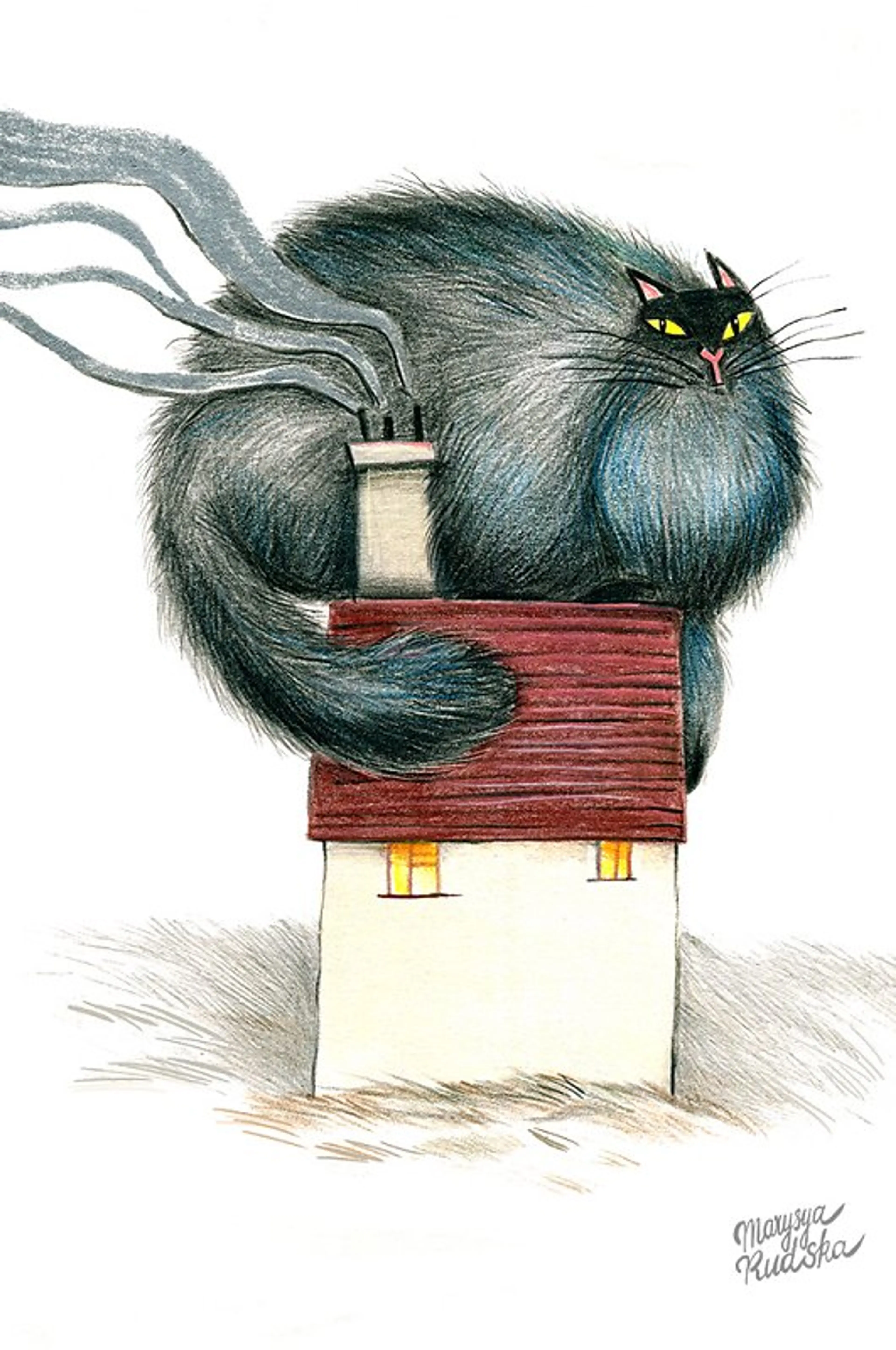 Cosy Cat