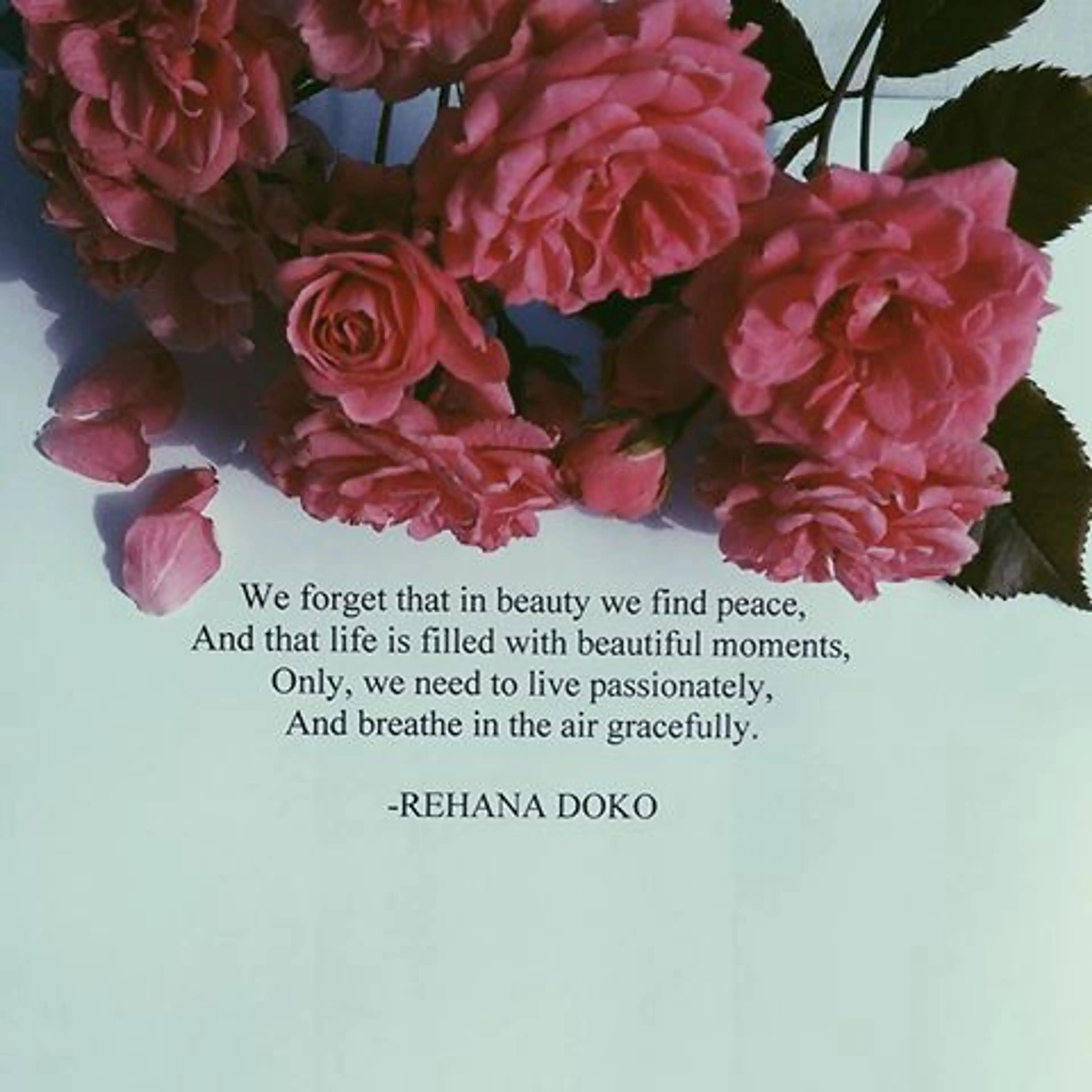 14052504_1571054793201360_264869069_n