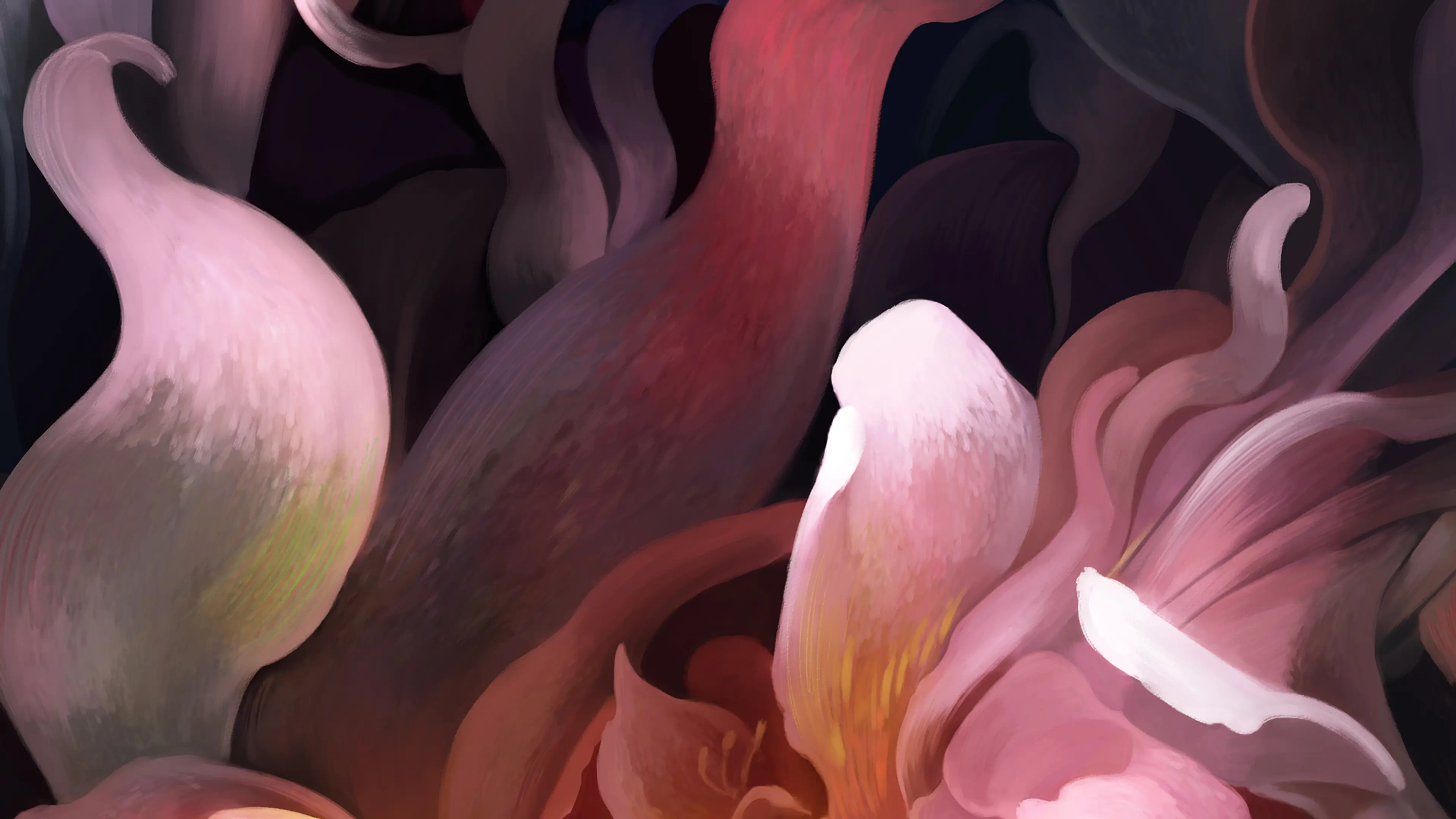 detail02 — Ilustración — Alfonso Elola