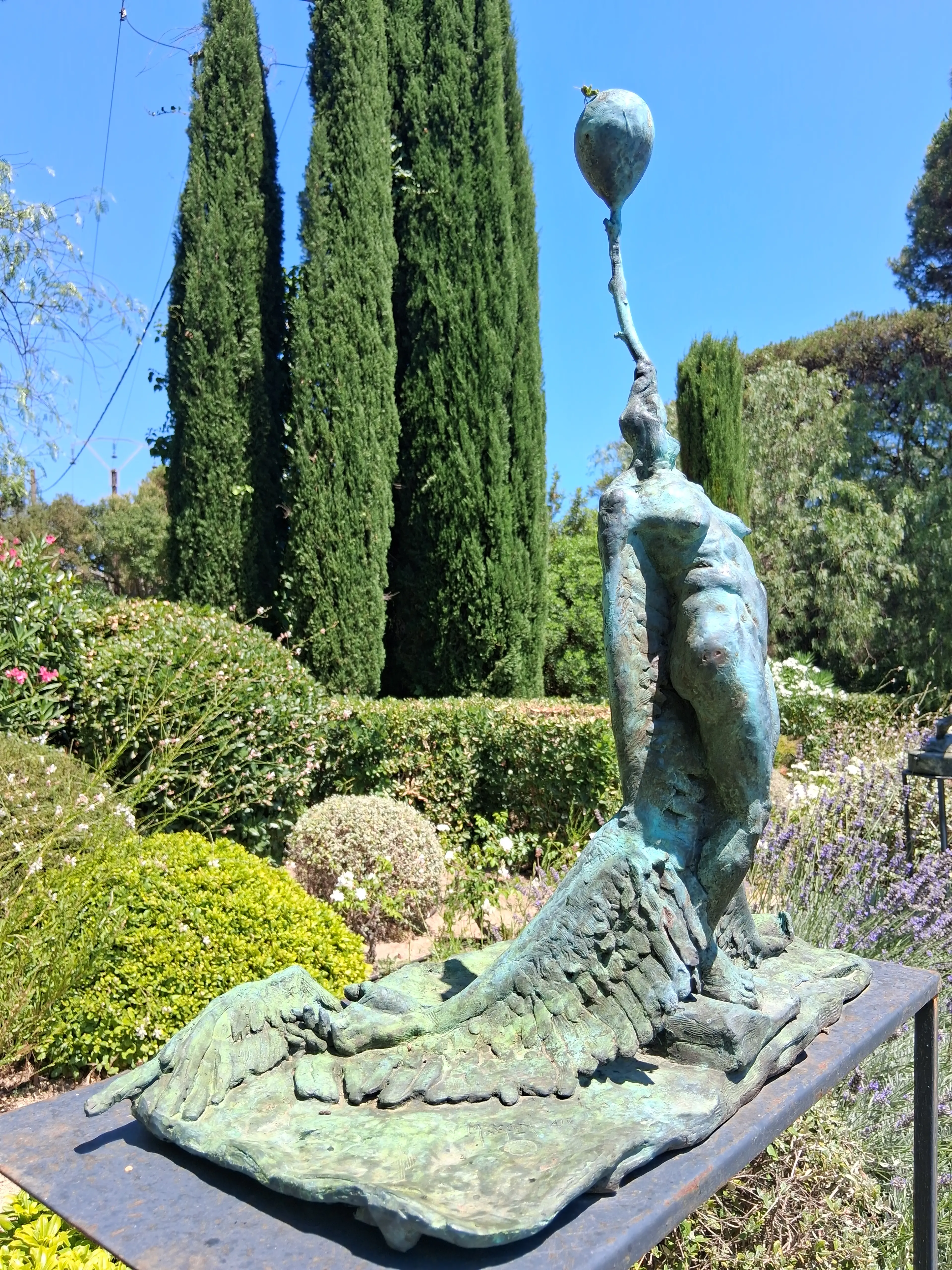 L'albatros