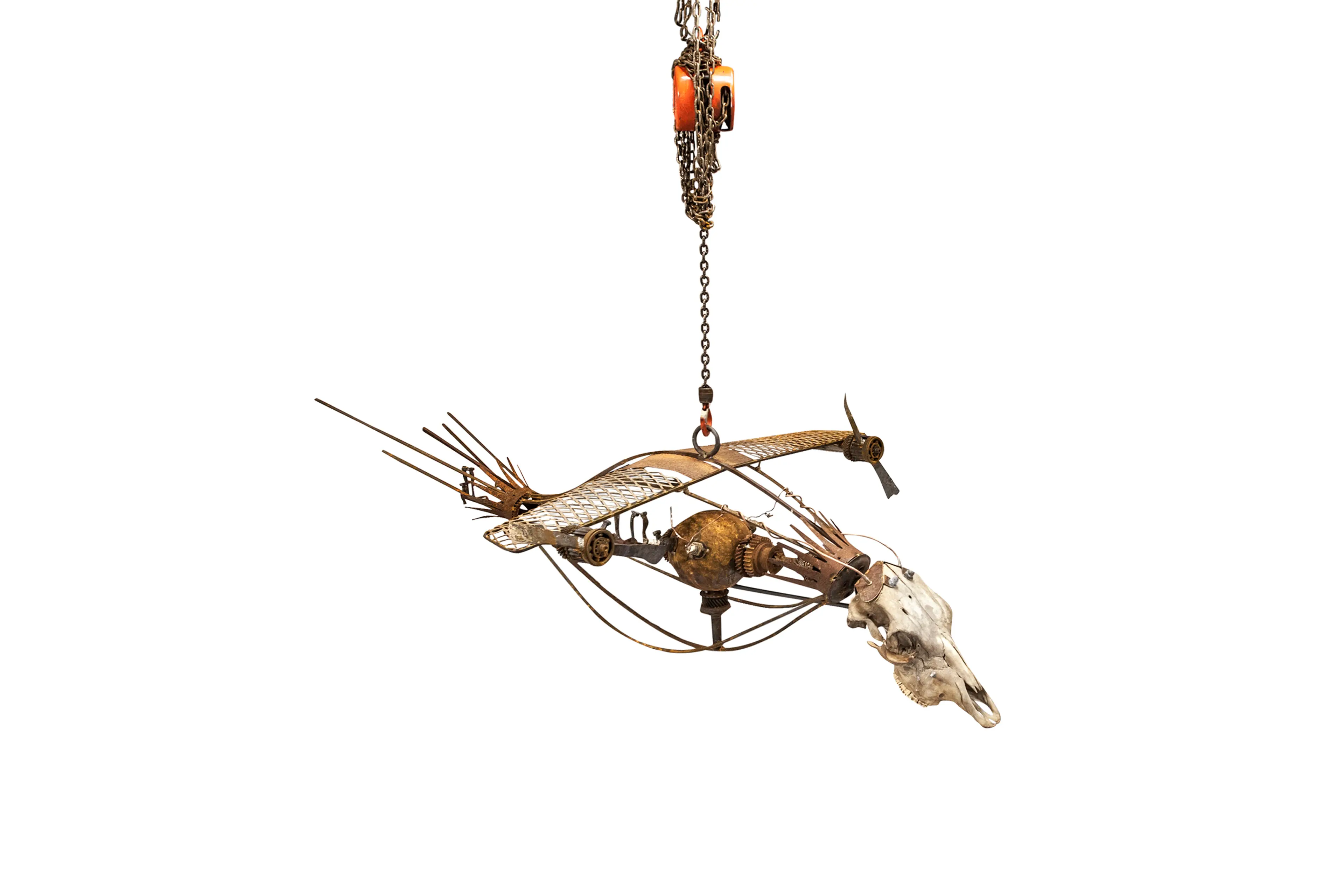 TOBBE MALM Creation Theory-the bird