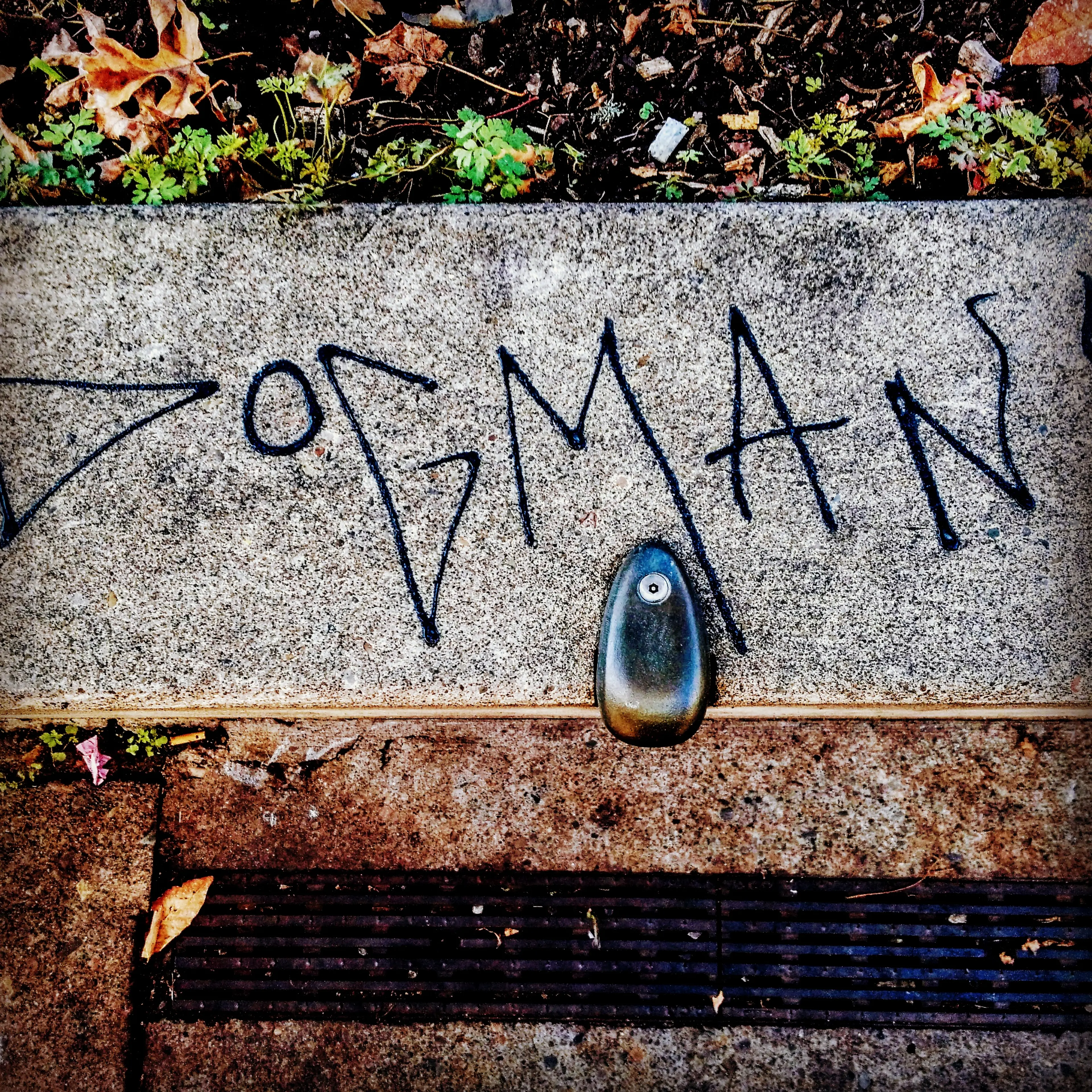 Dogman — Photography — Leo Hall