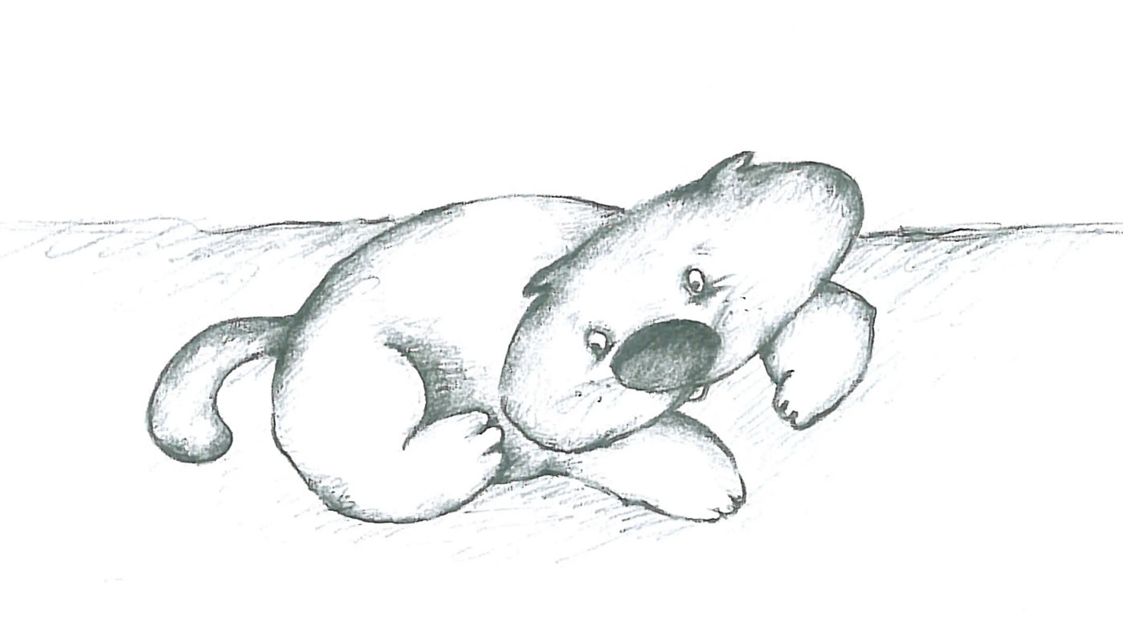Animals (18)