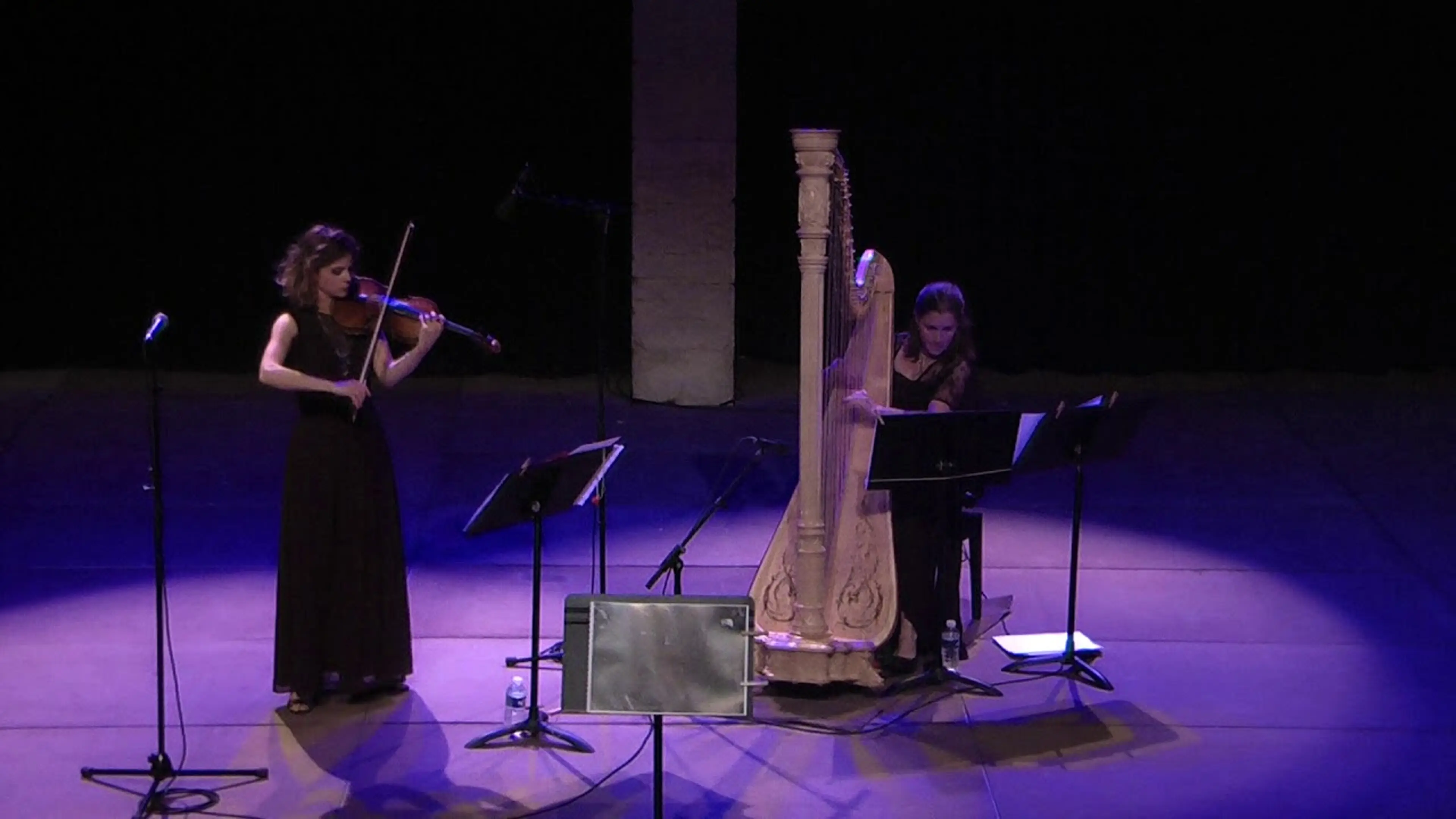 Oyfn Pripetshik, Mark Warshawsky: violin/harp