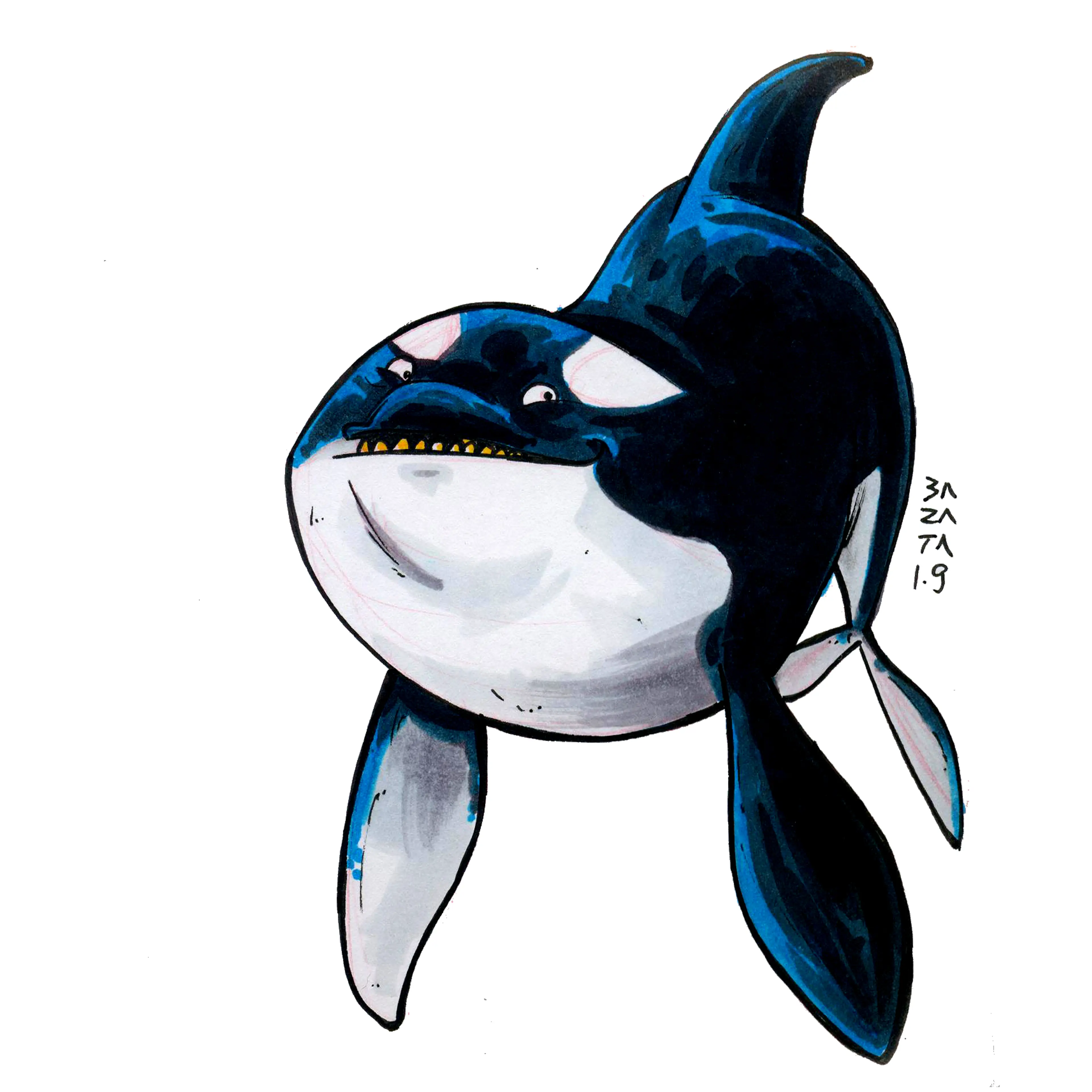 Orca 001.jpg