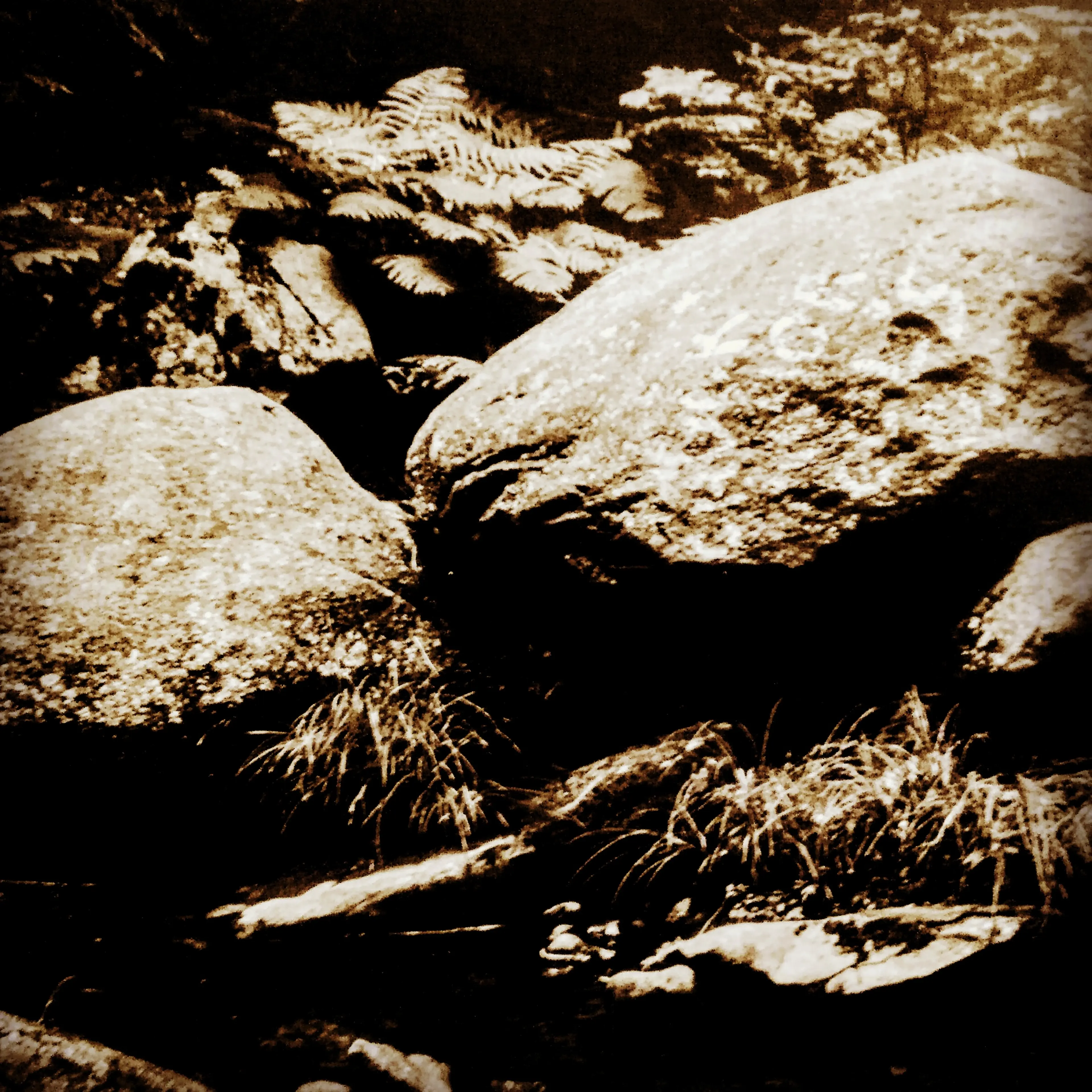 Monoliths
