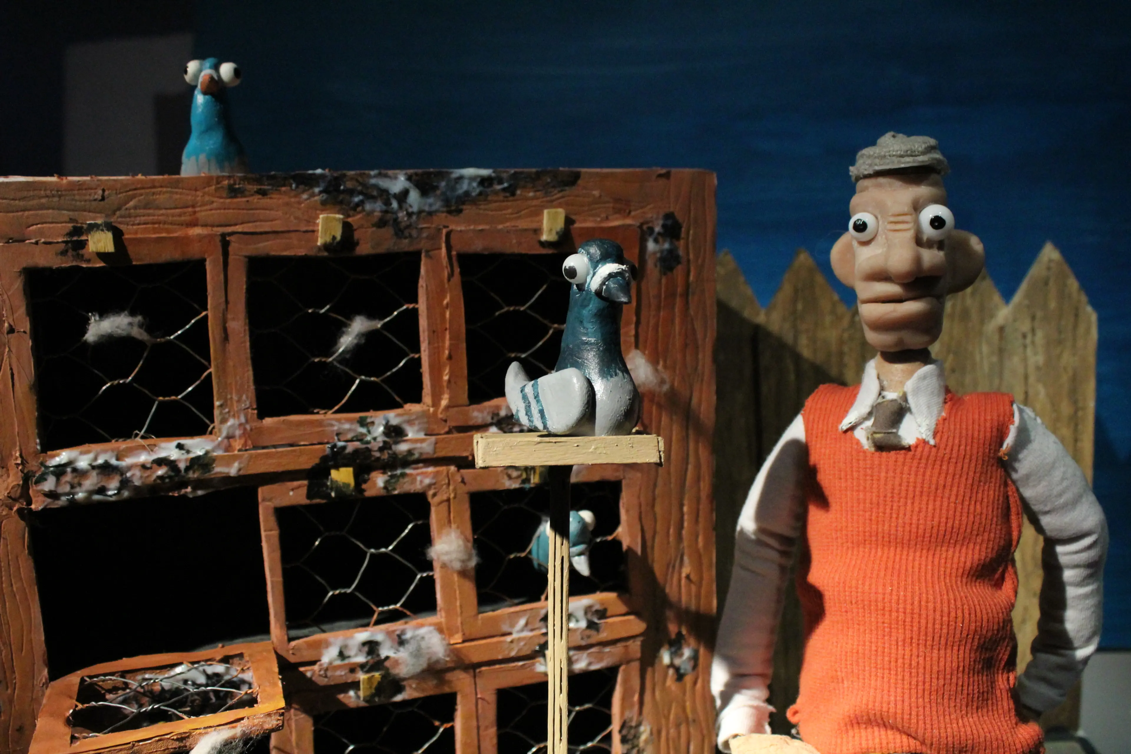 pigeon racer and pigeons