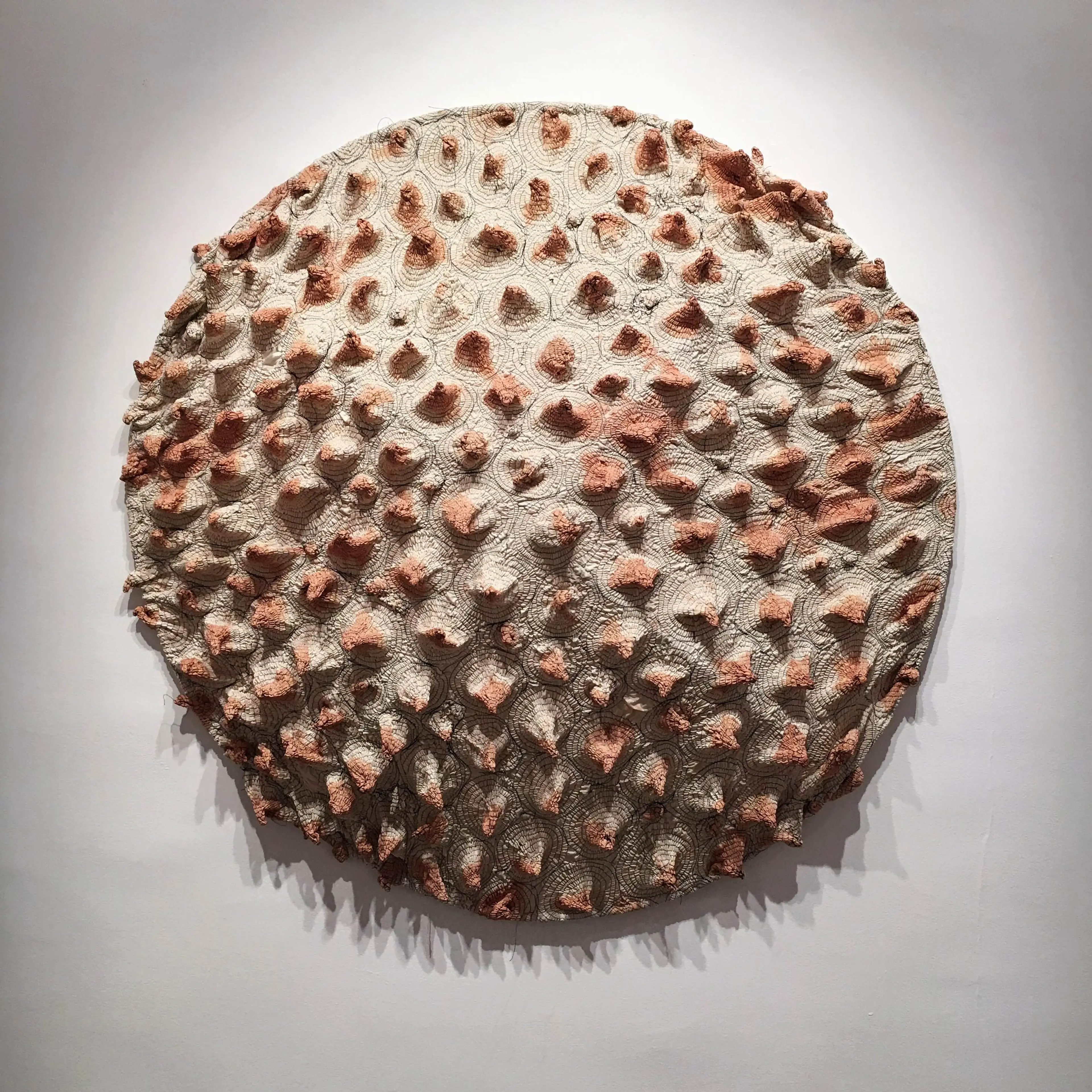 03.Maryam Ashkanian.Mutation Series. Sculpture.100-100-30 Cm.Sewing   on Fabric.2016.