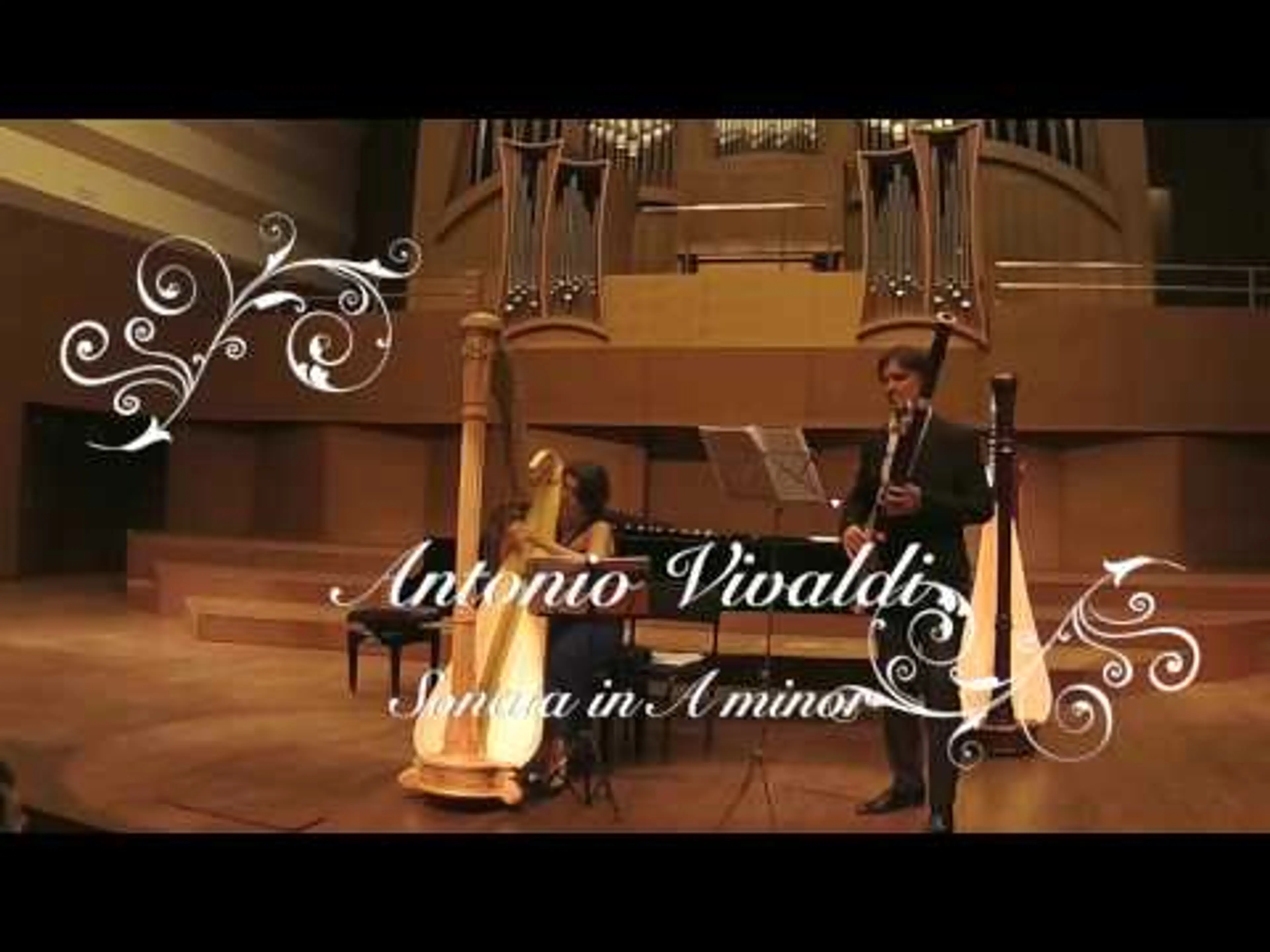 Vivaldi Sonata A minor RV 44 for bassoon and harp.Roman Reznik