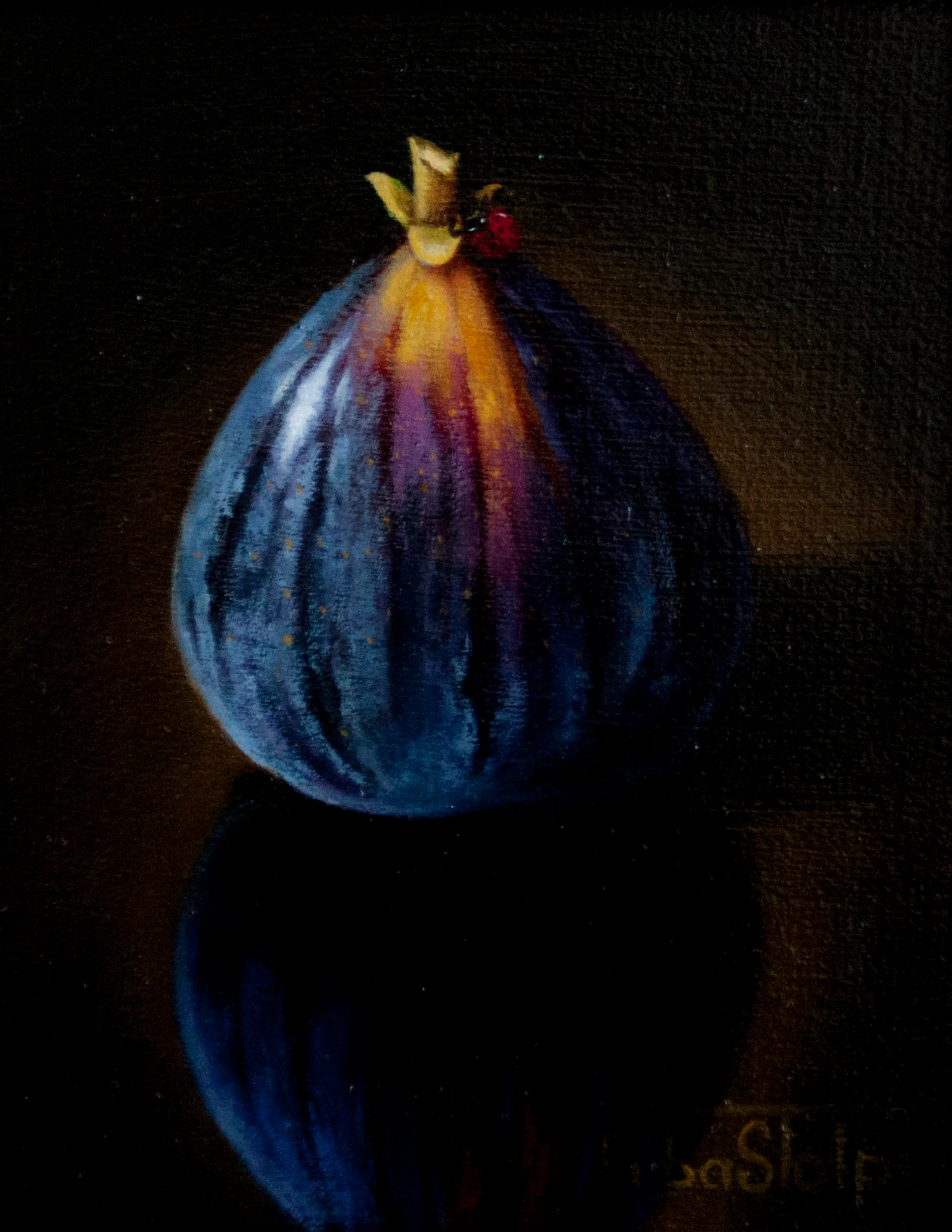 Fig 5x7 oil on board