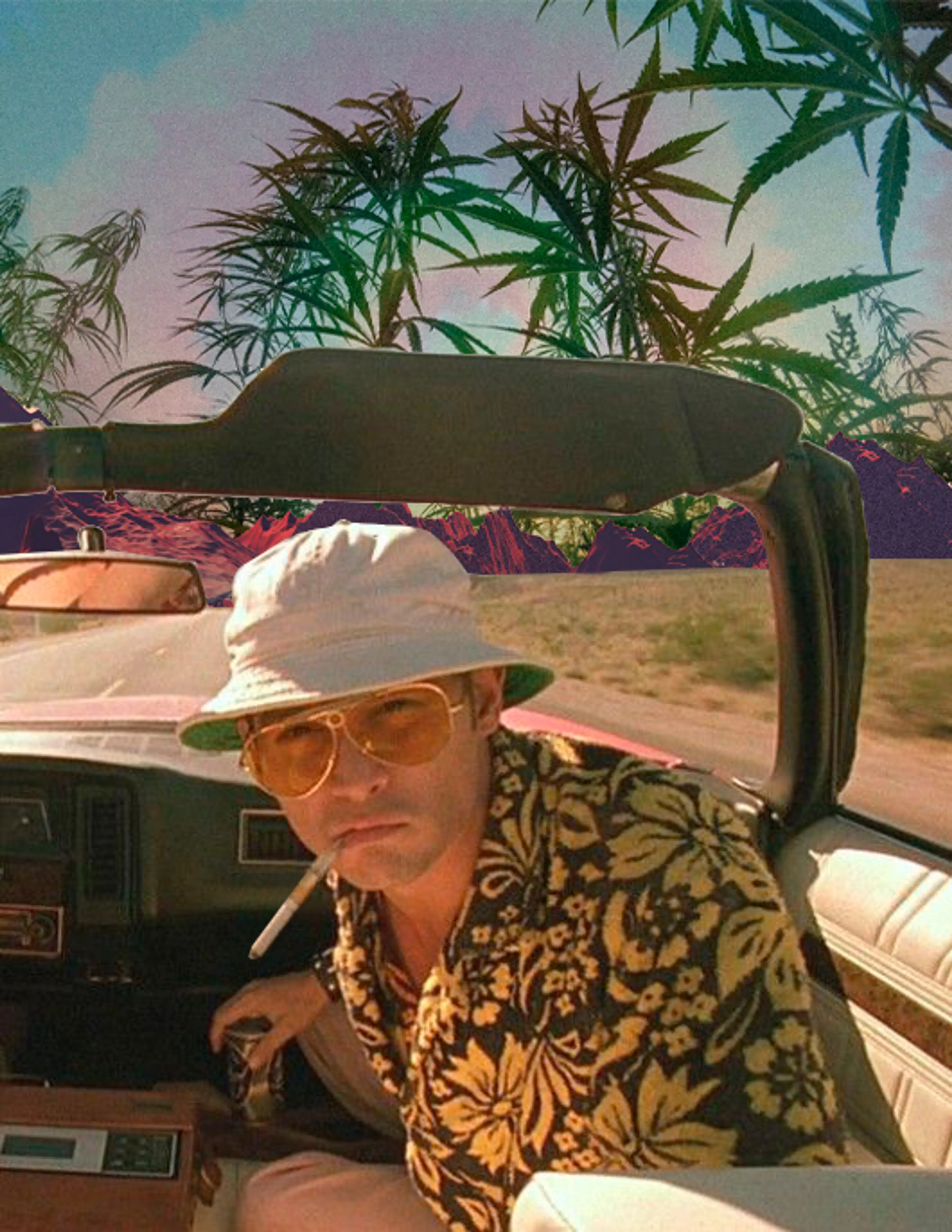 Fear and Loathing