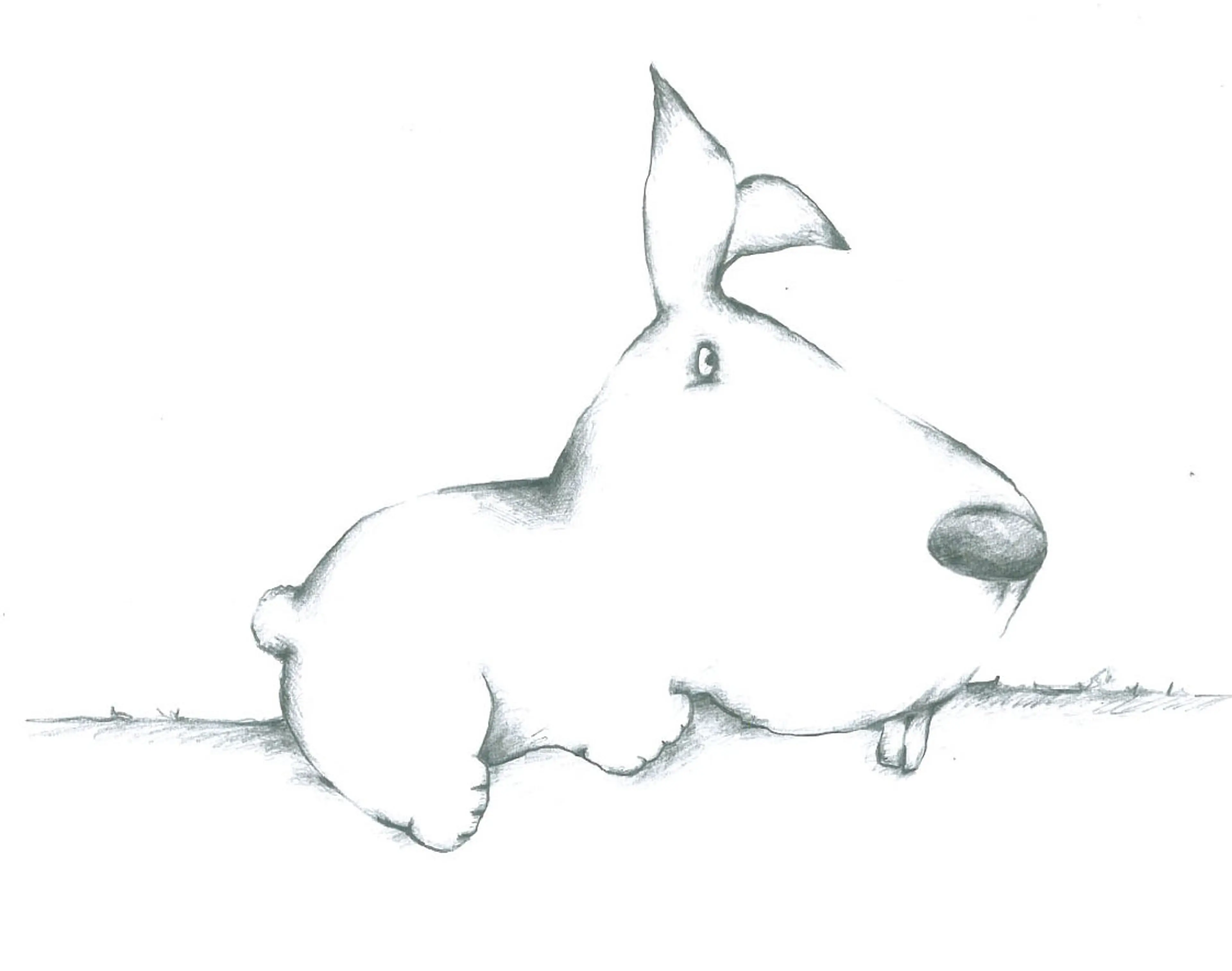 Animals (20)