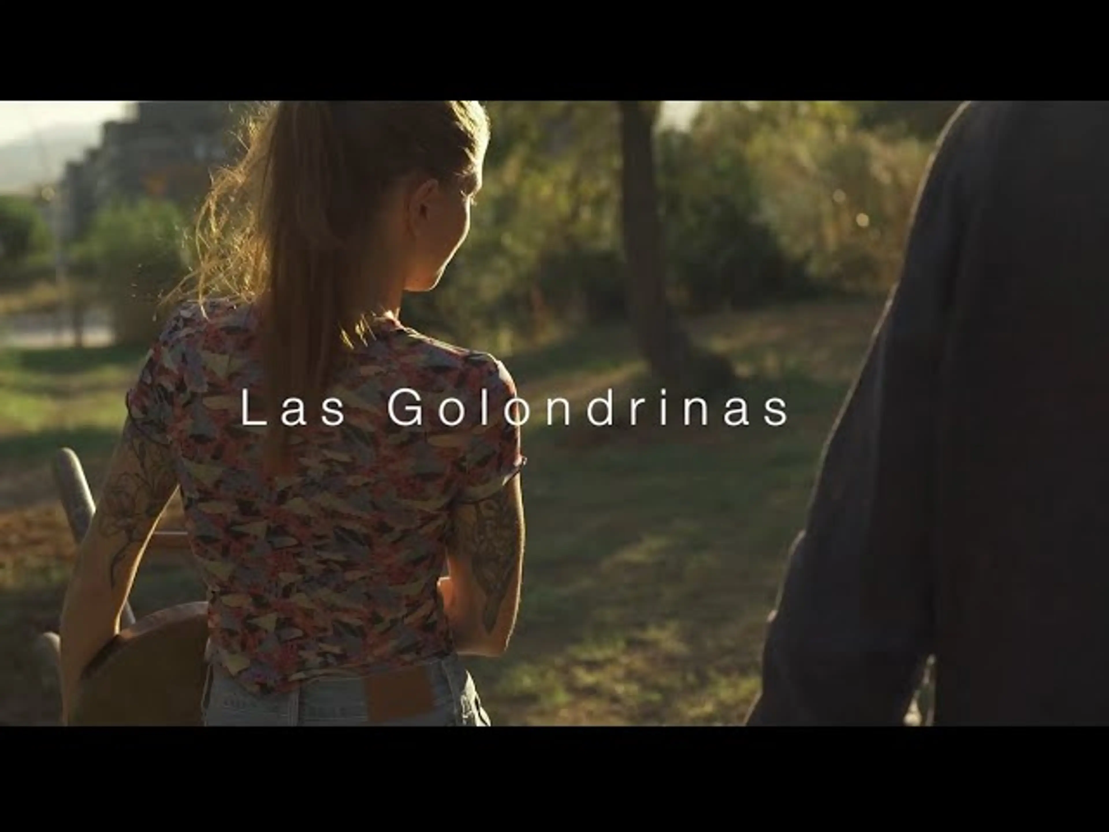 LOS FUMEROS: Las Golondrinas