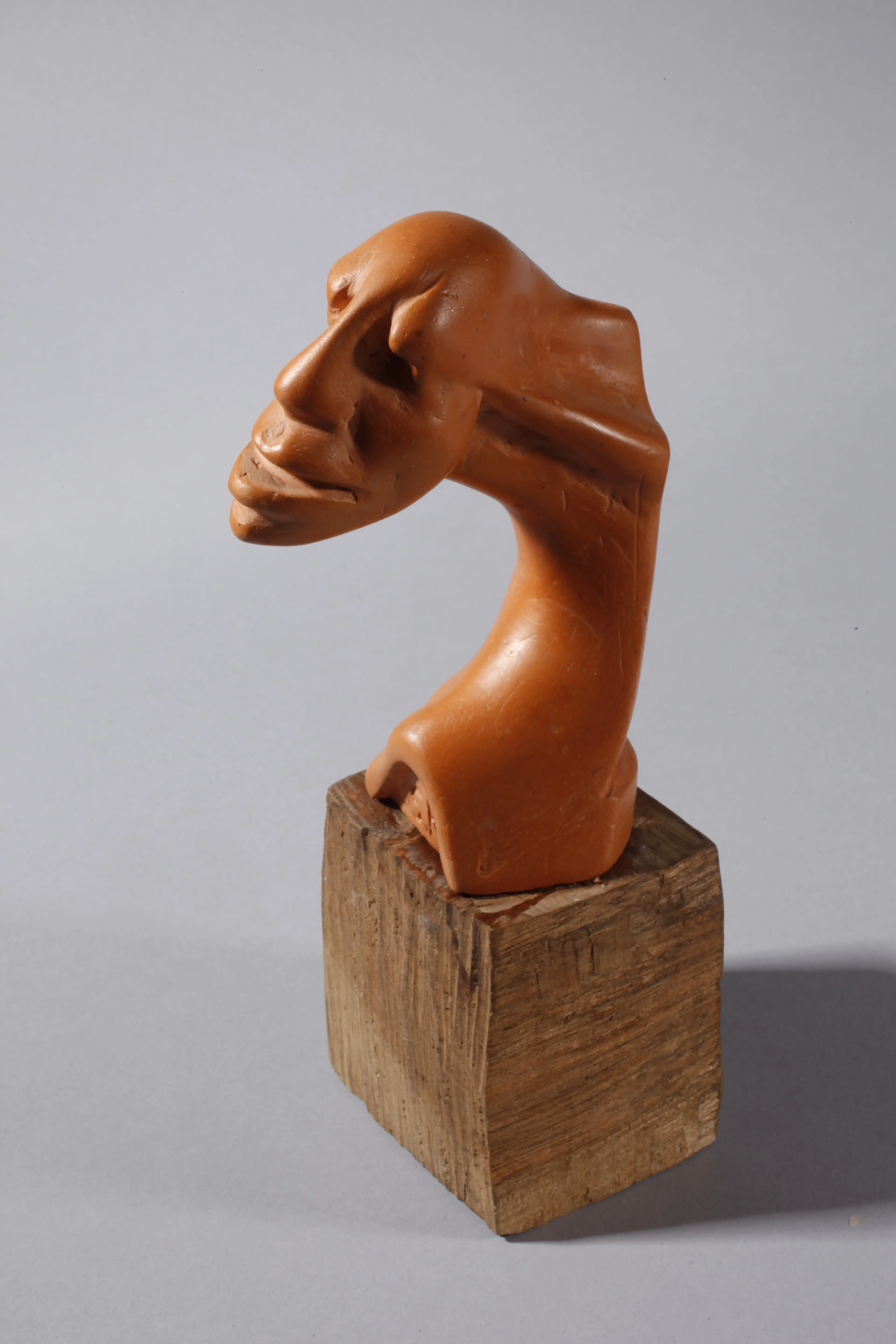 "Desire without coverage", wood and patinated terracotta