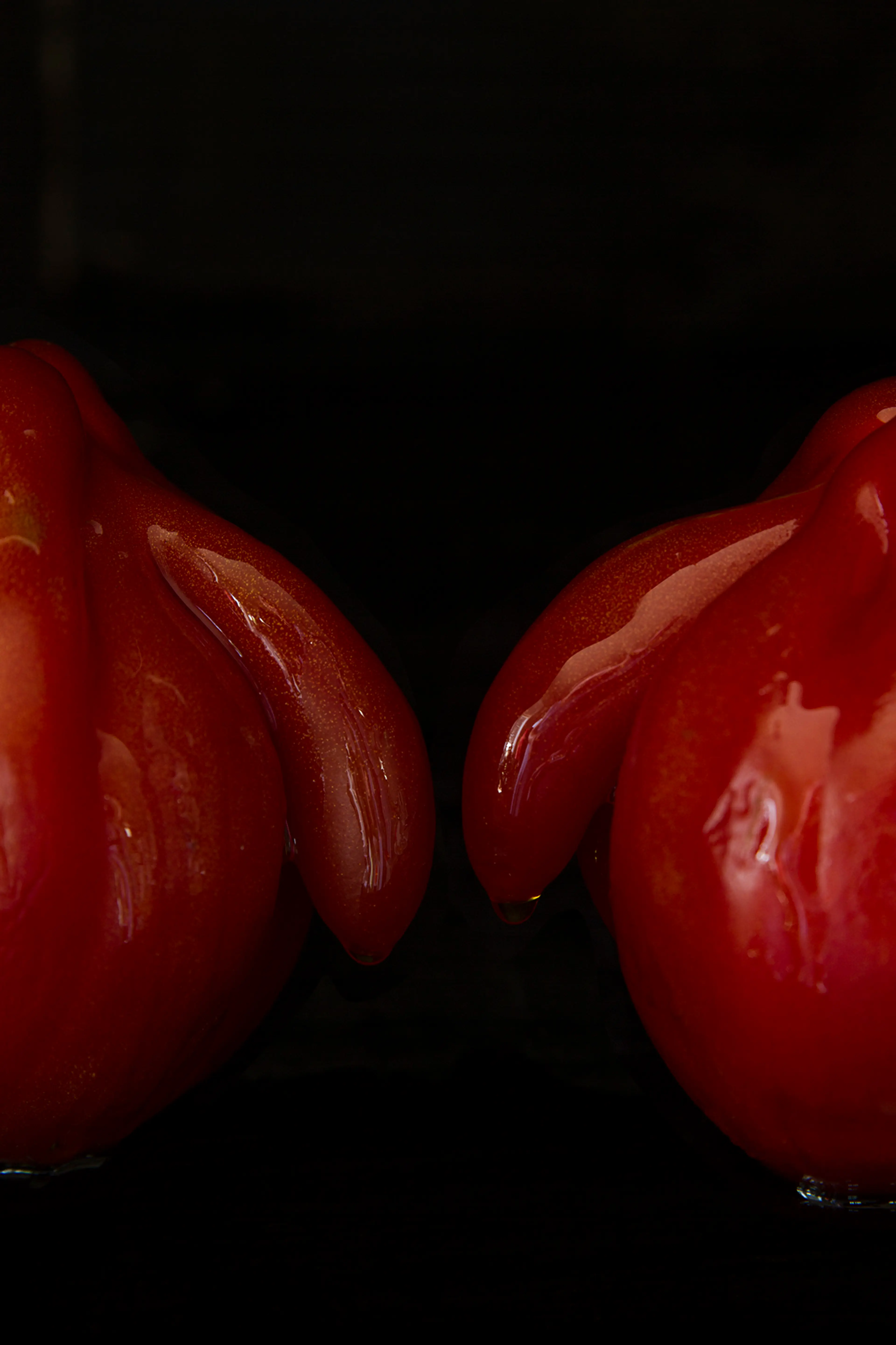 NATURES VIVES. CONFESSIONS