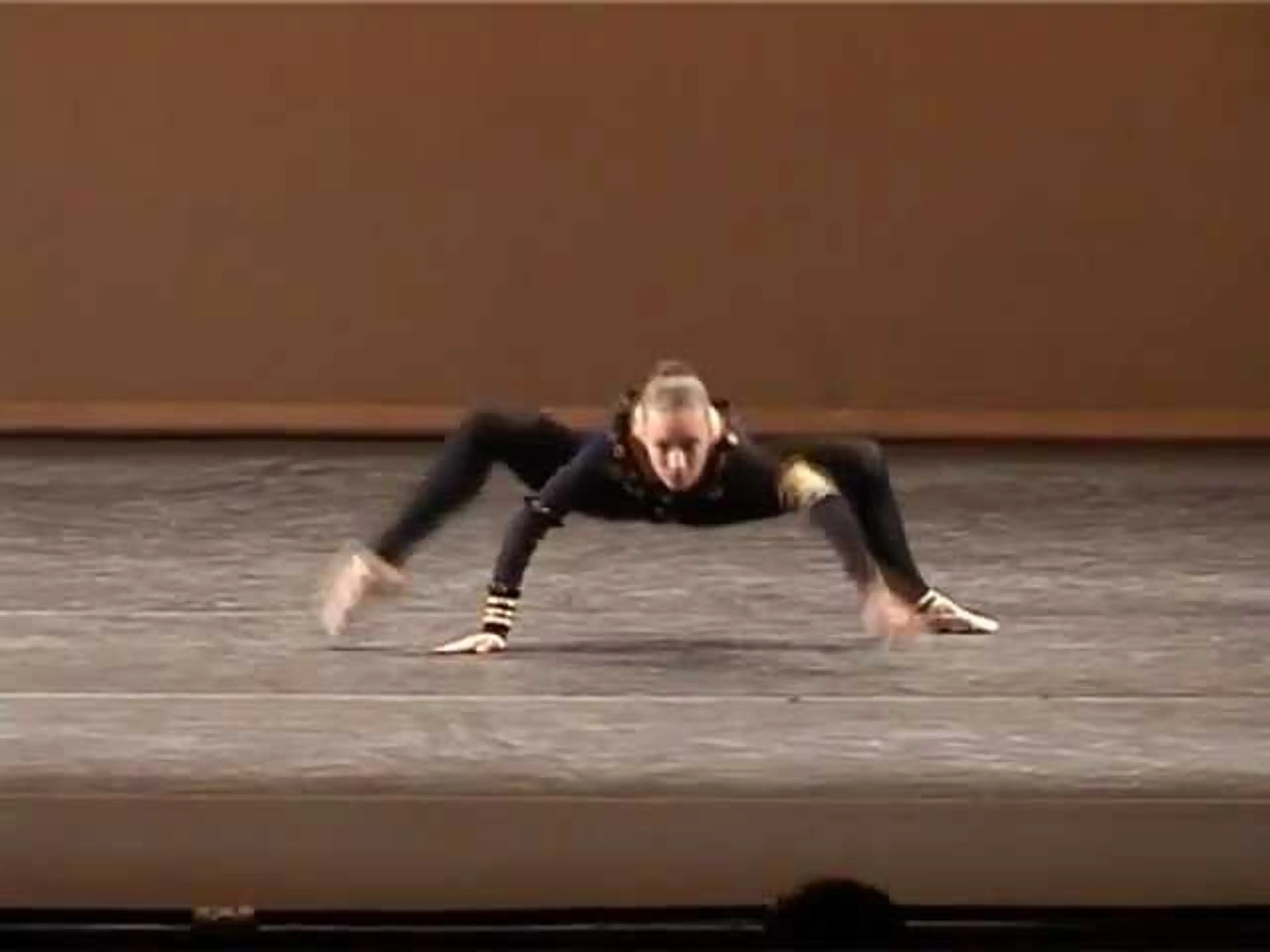 THE SPIDER
