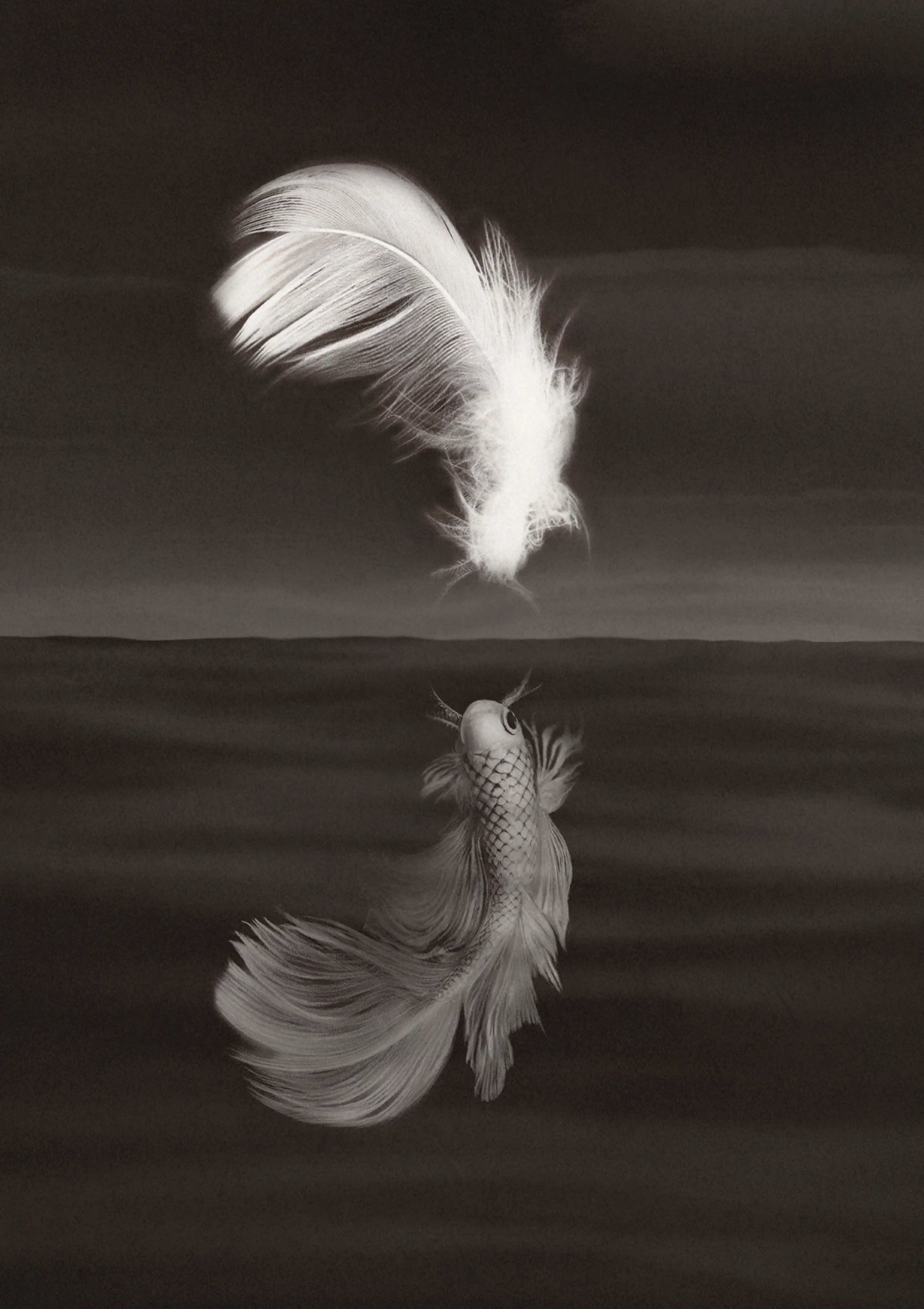 The animals of water and heavens