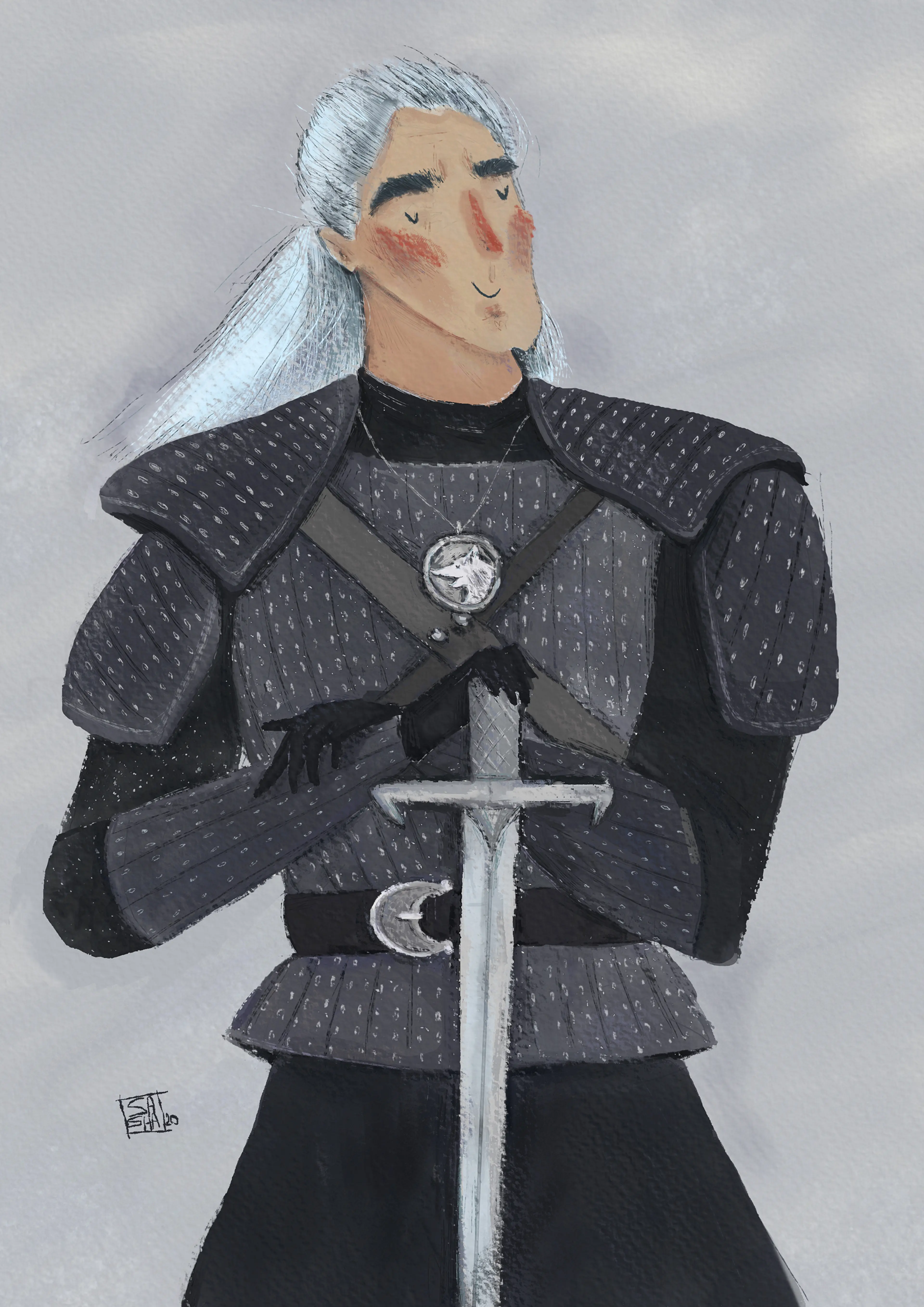 the witcher