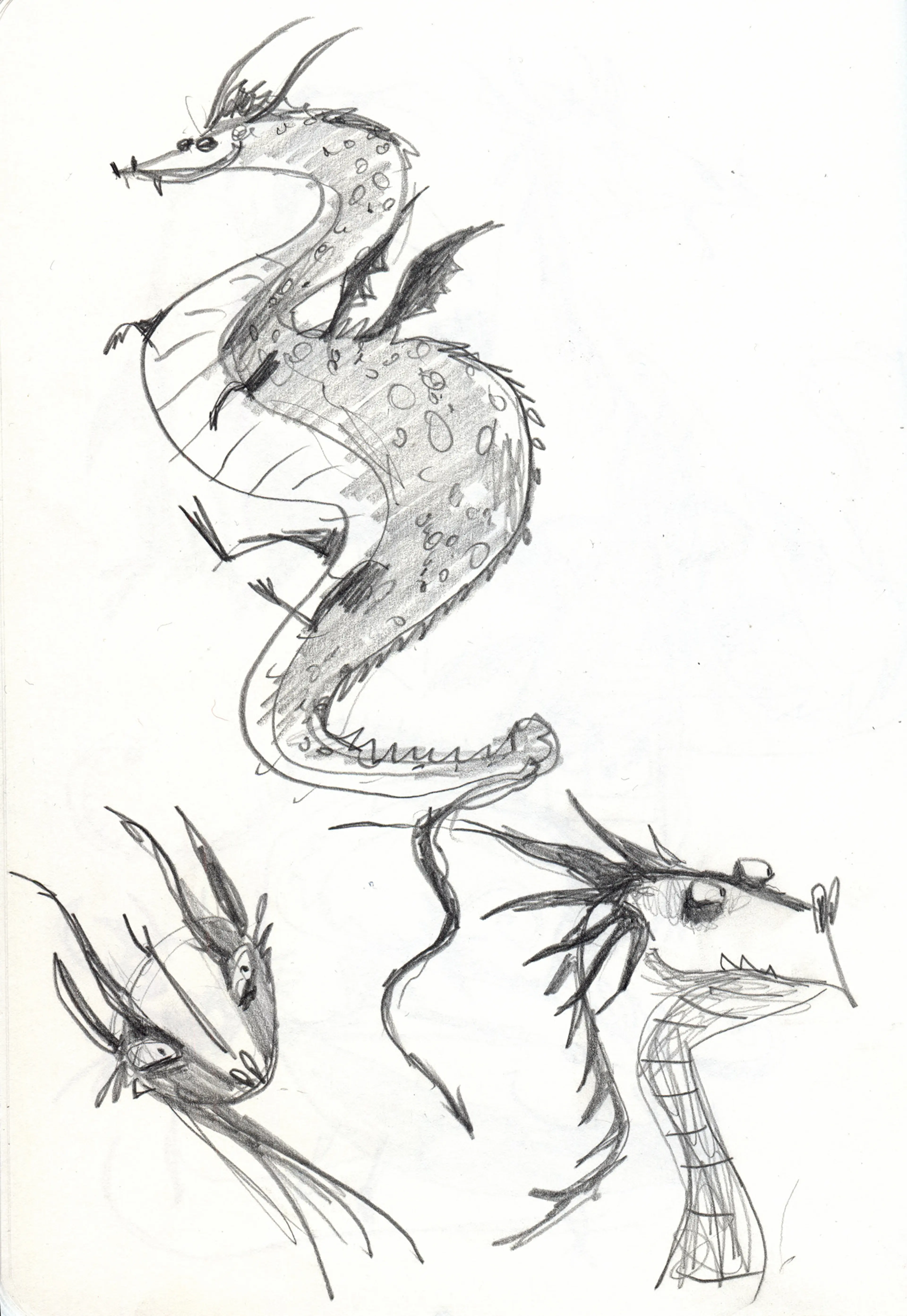 sketch