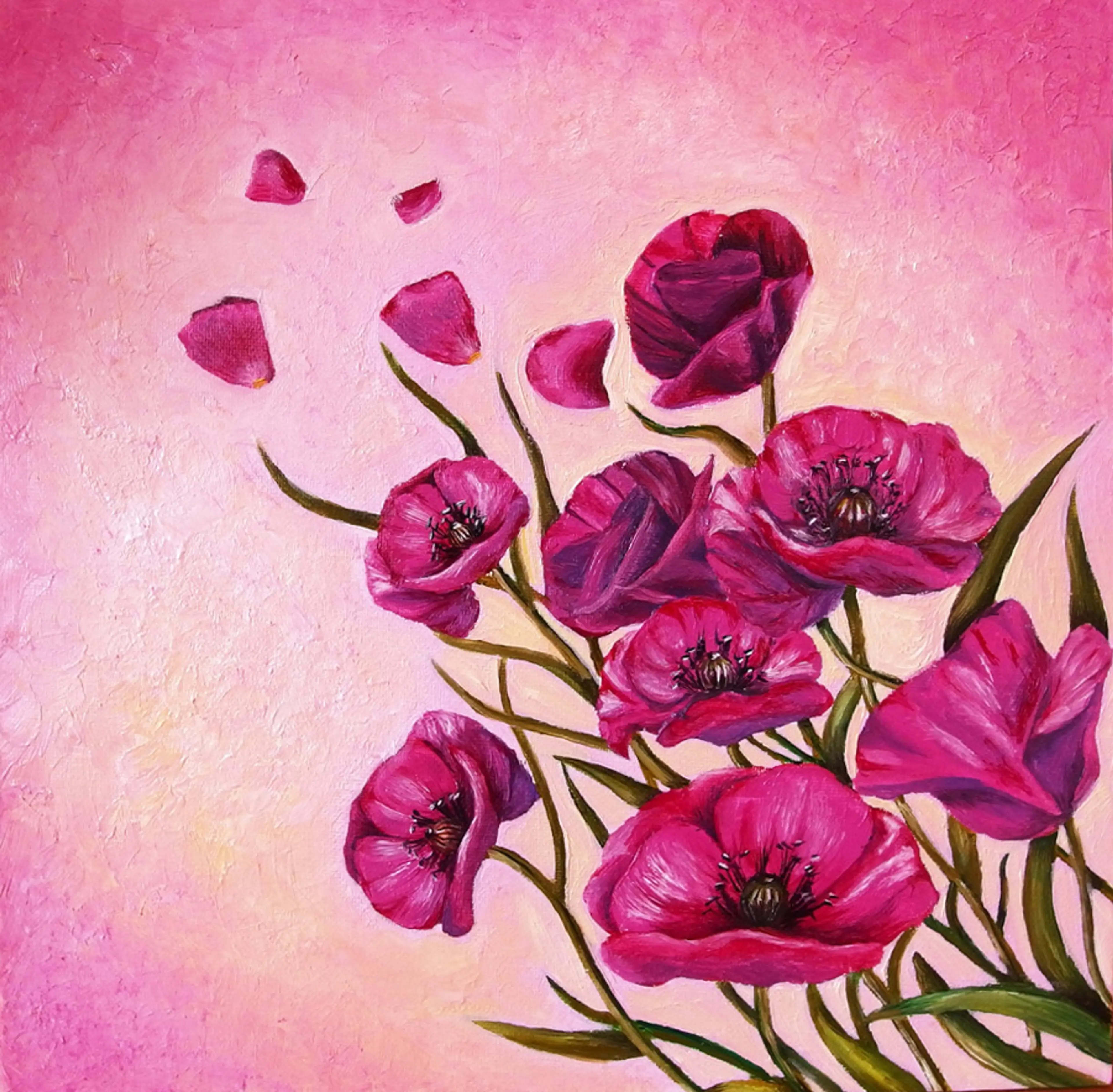 Pink Poppies