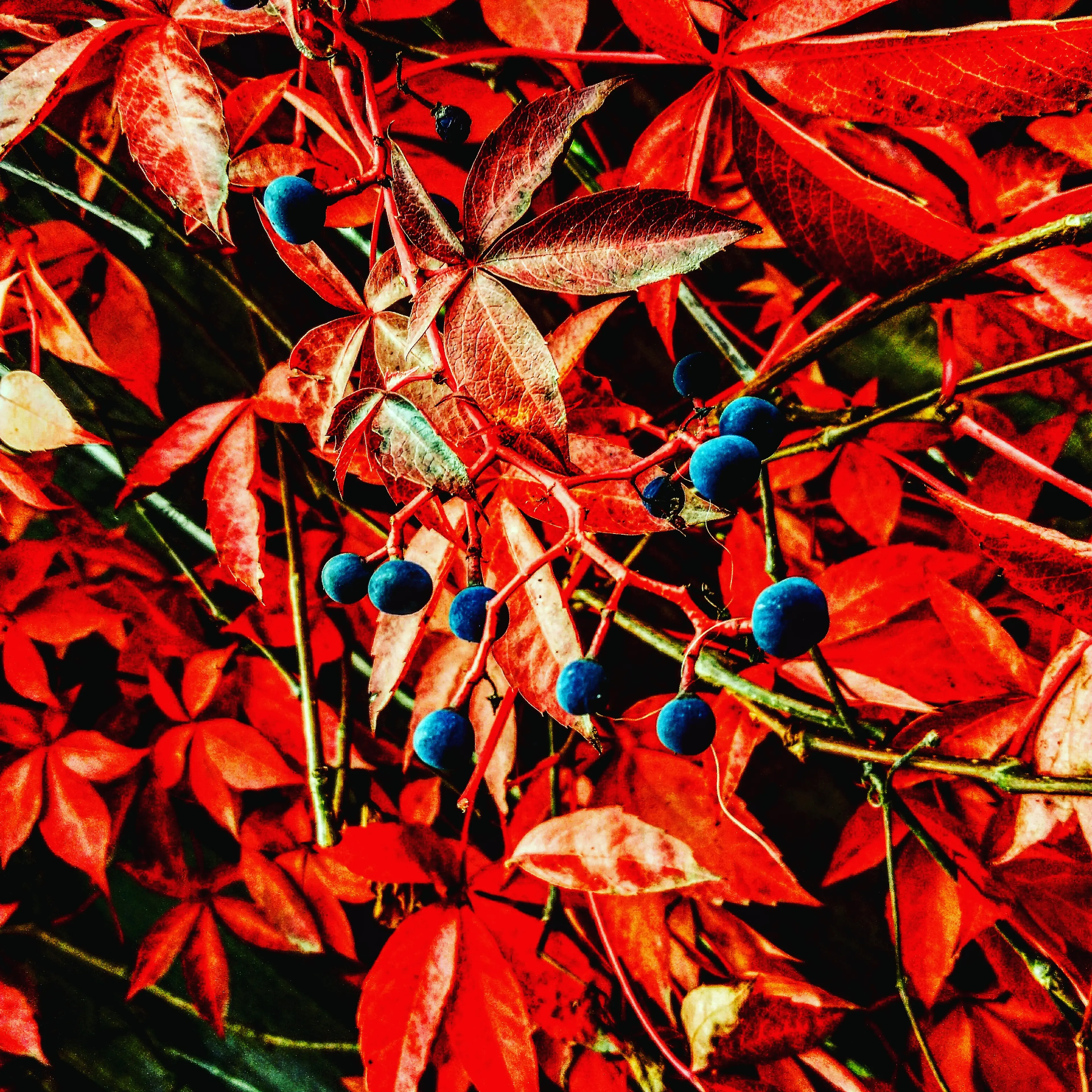 IMG_20171019_133948_405.jpg