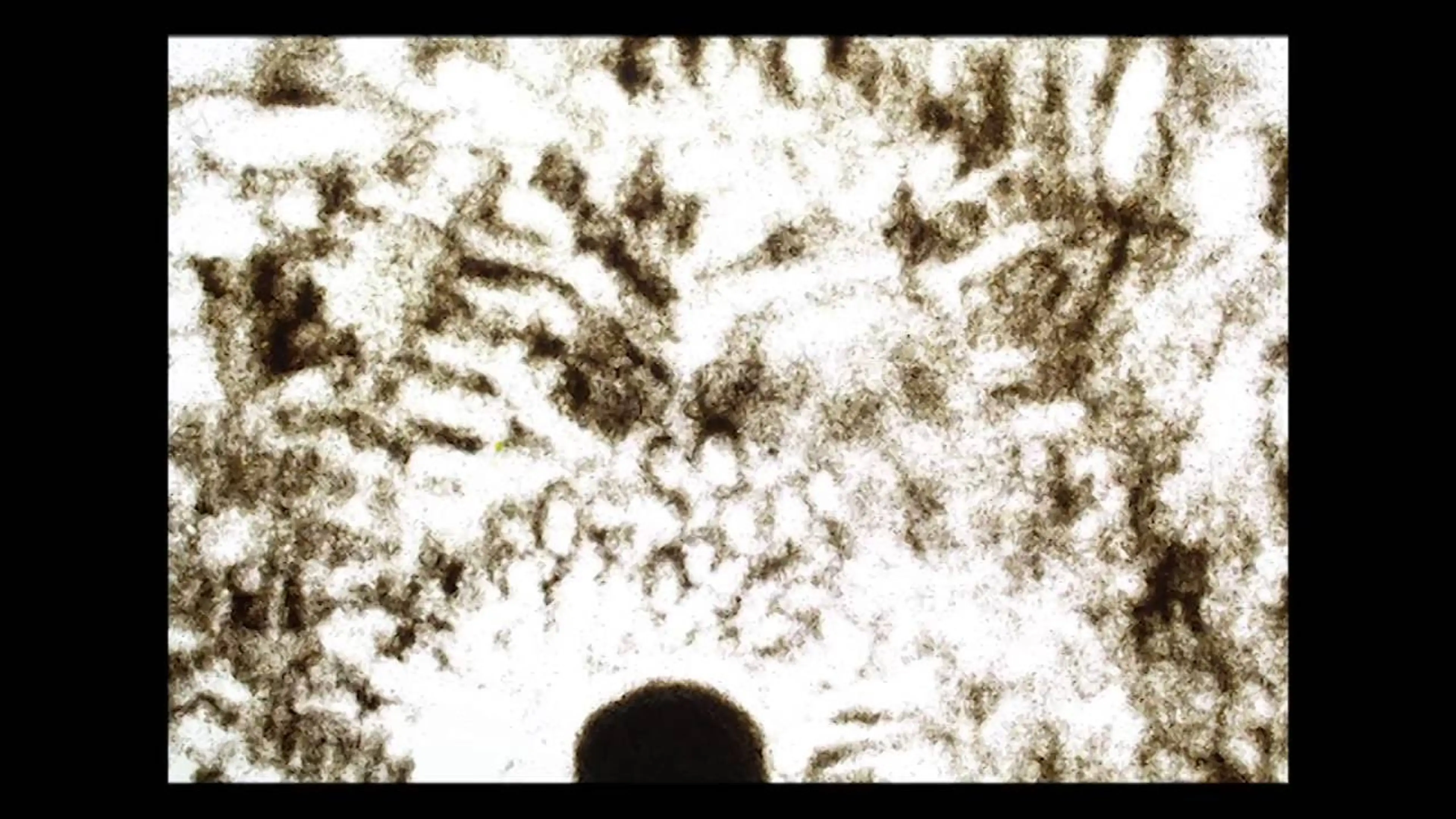 Sand animation tests - Stop motion