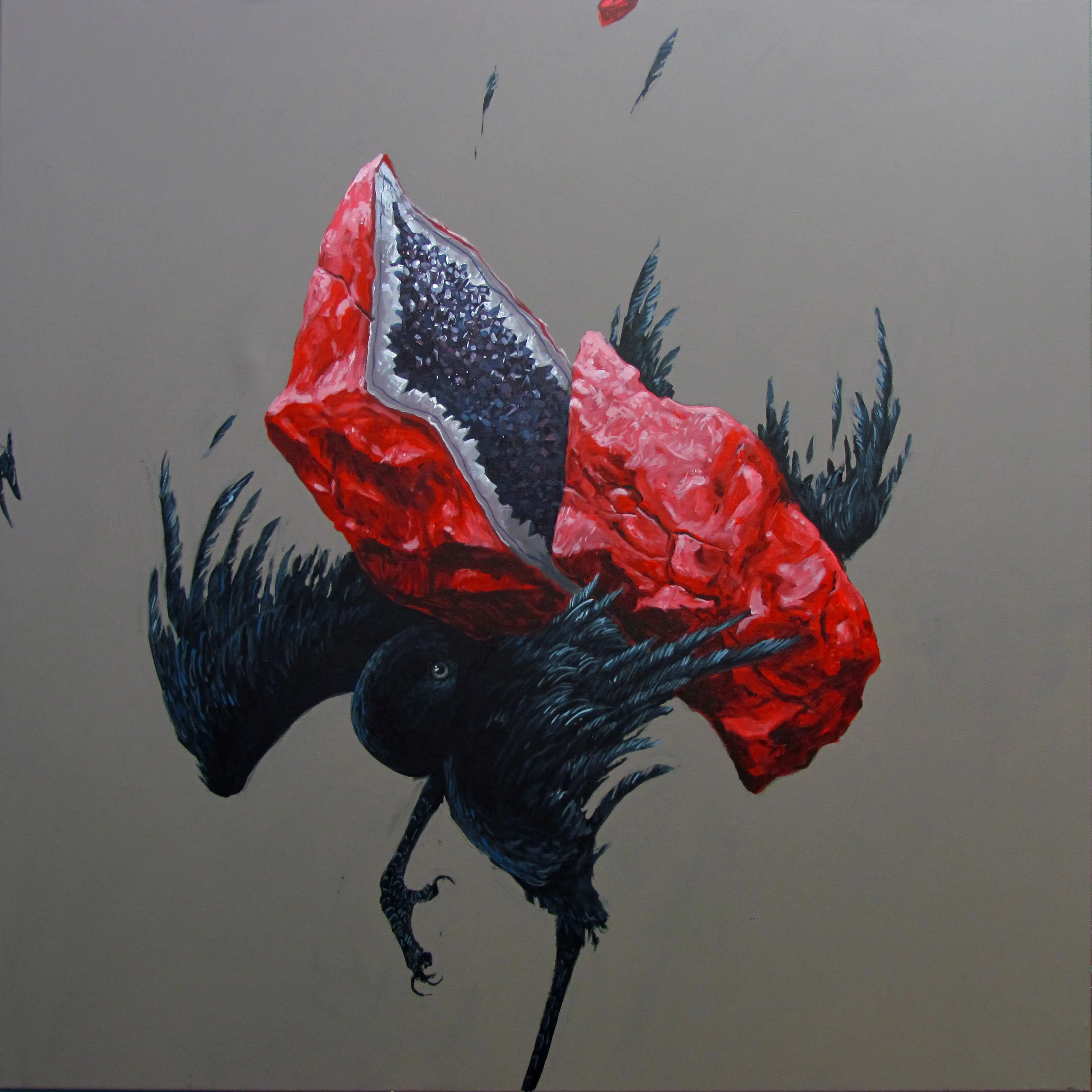 Disturbance series (Birds)